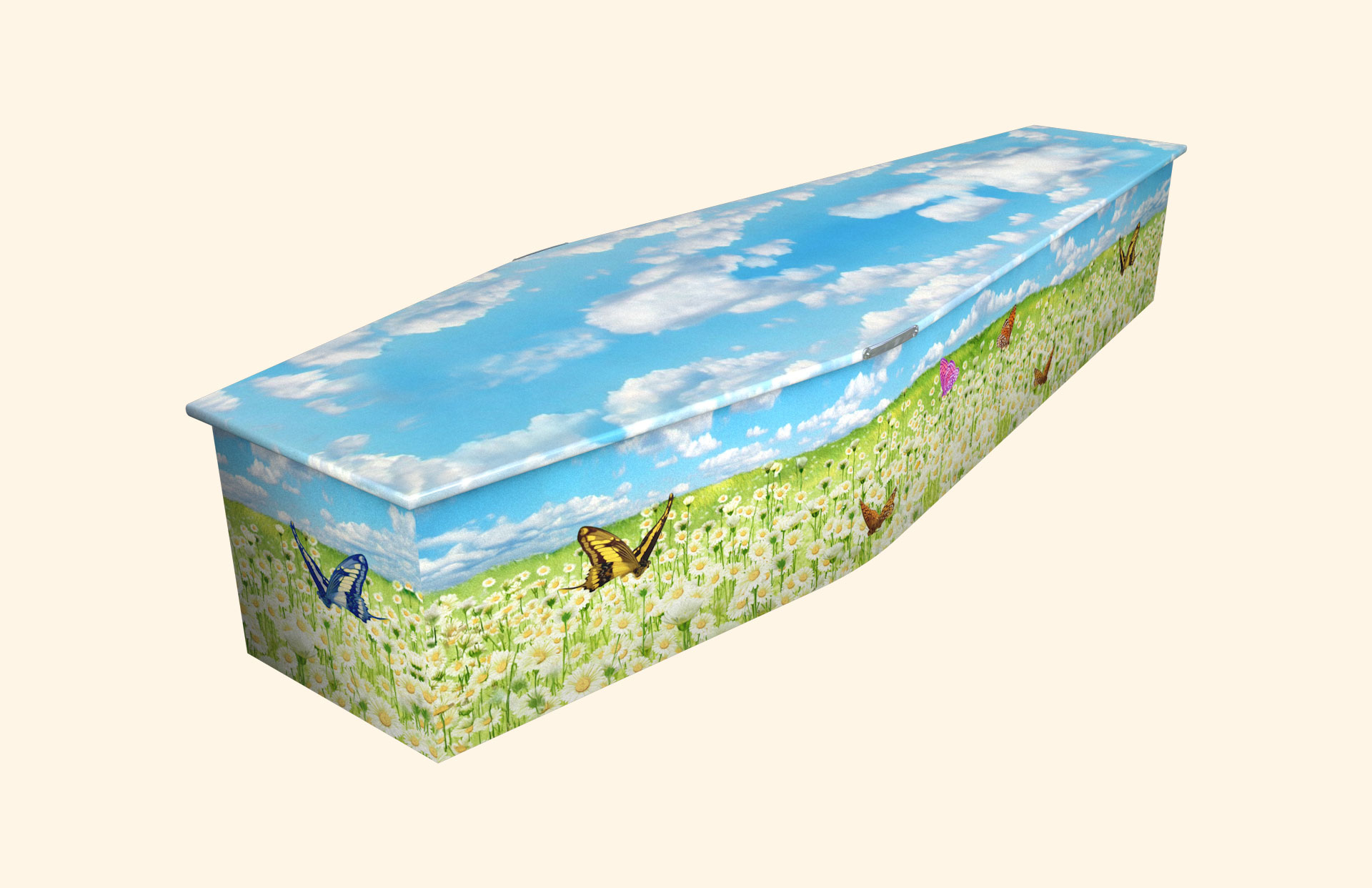 Daisies and Butterflies design on a traditional coffin