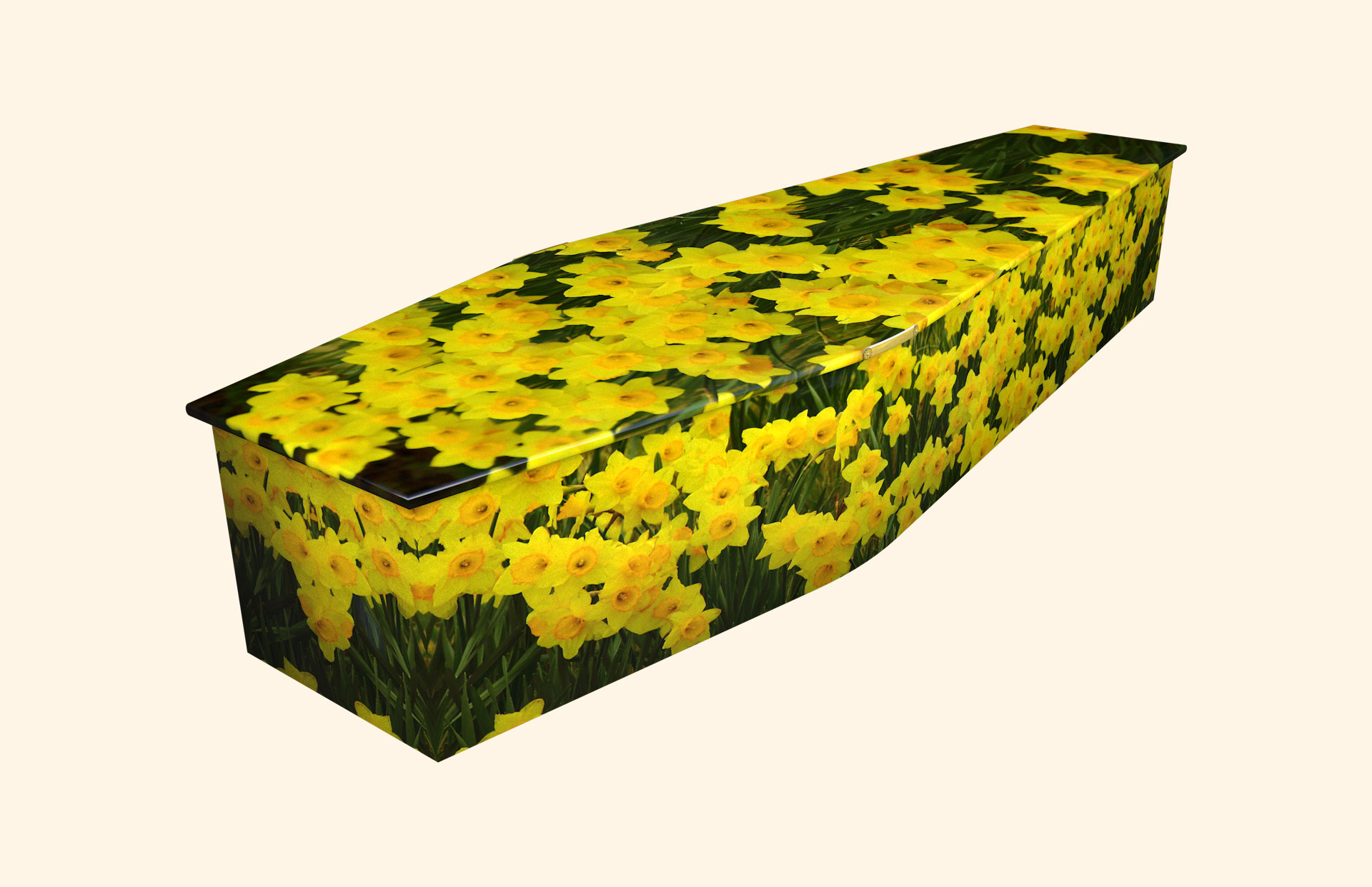 Beautys Glance design on a traditional coffin