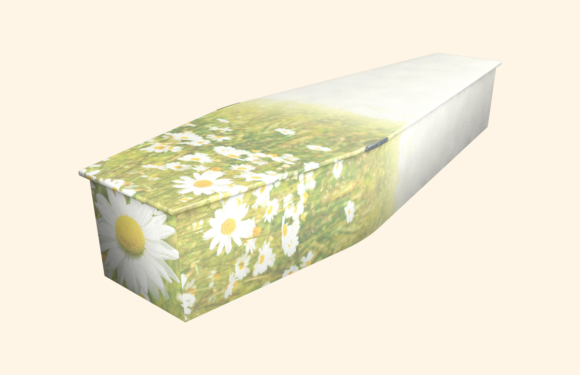 Blushing Daisies design on a traditional coffin