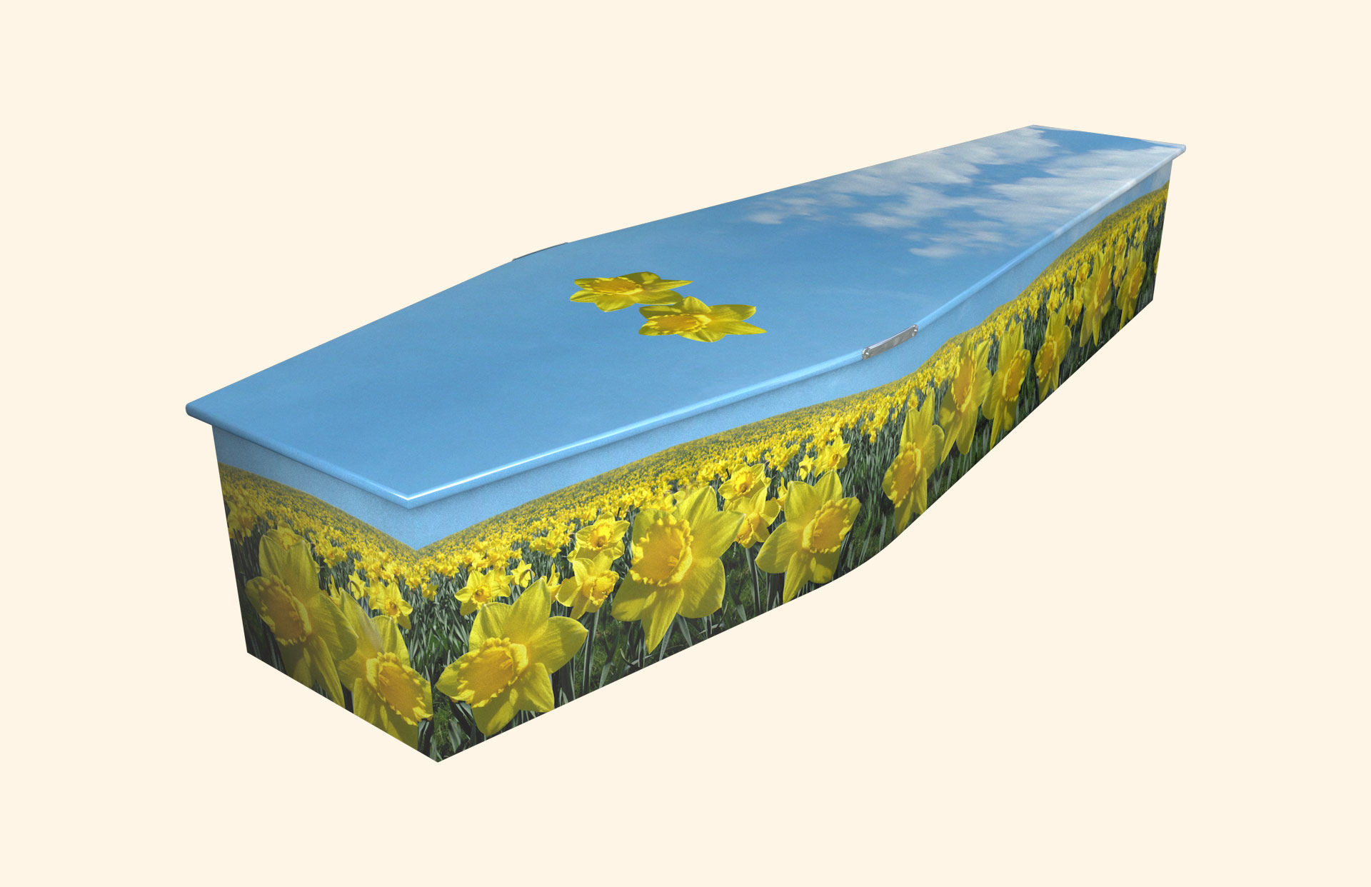 Field of Daffodils design on a traditional coffin