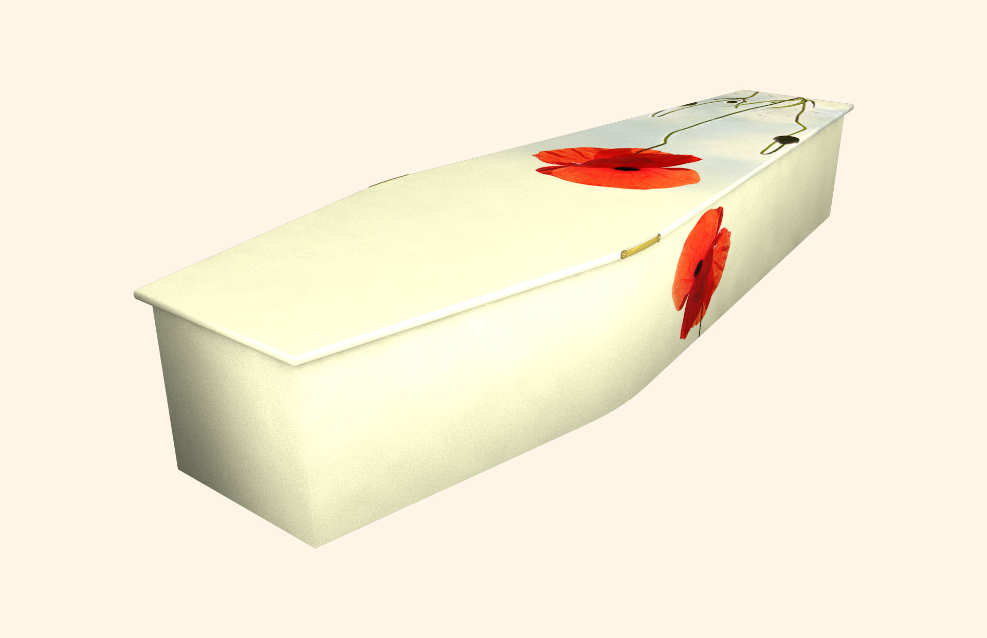 Poppy Art design on a traditional coffin