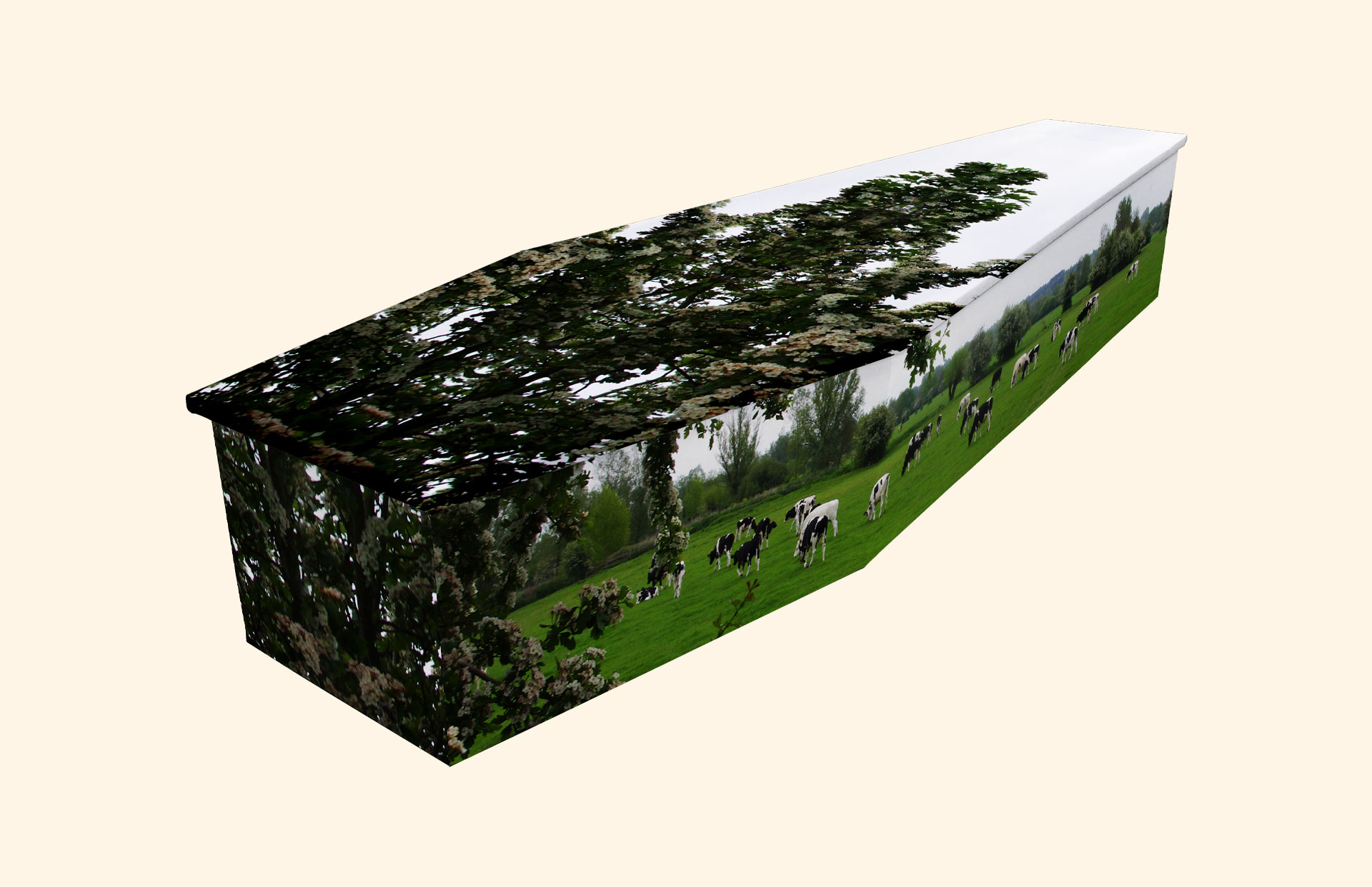 Pastures Green design on a cardboard coffin