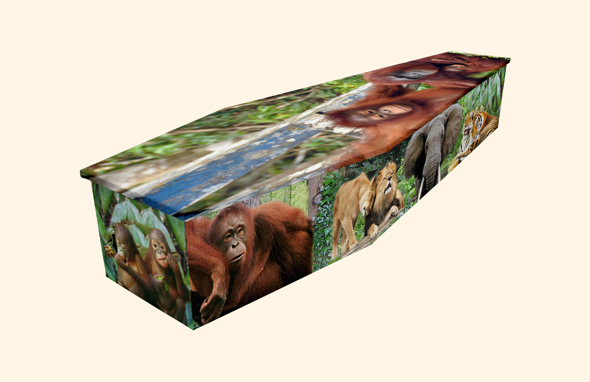 Jungle Love design on a cardboard coffin