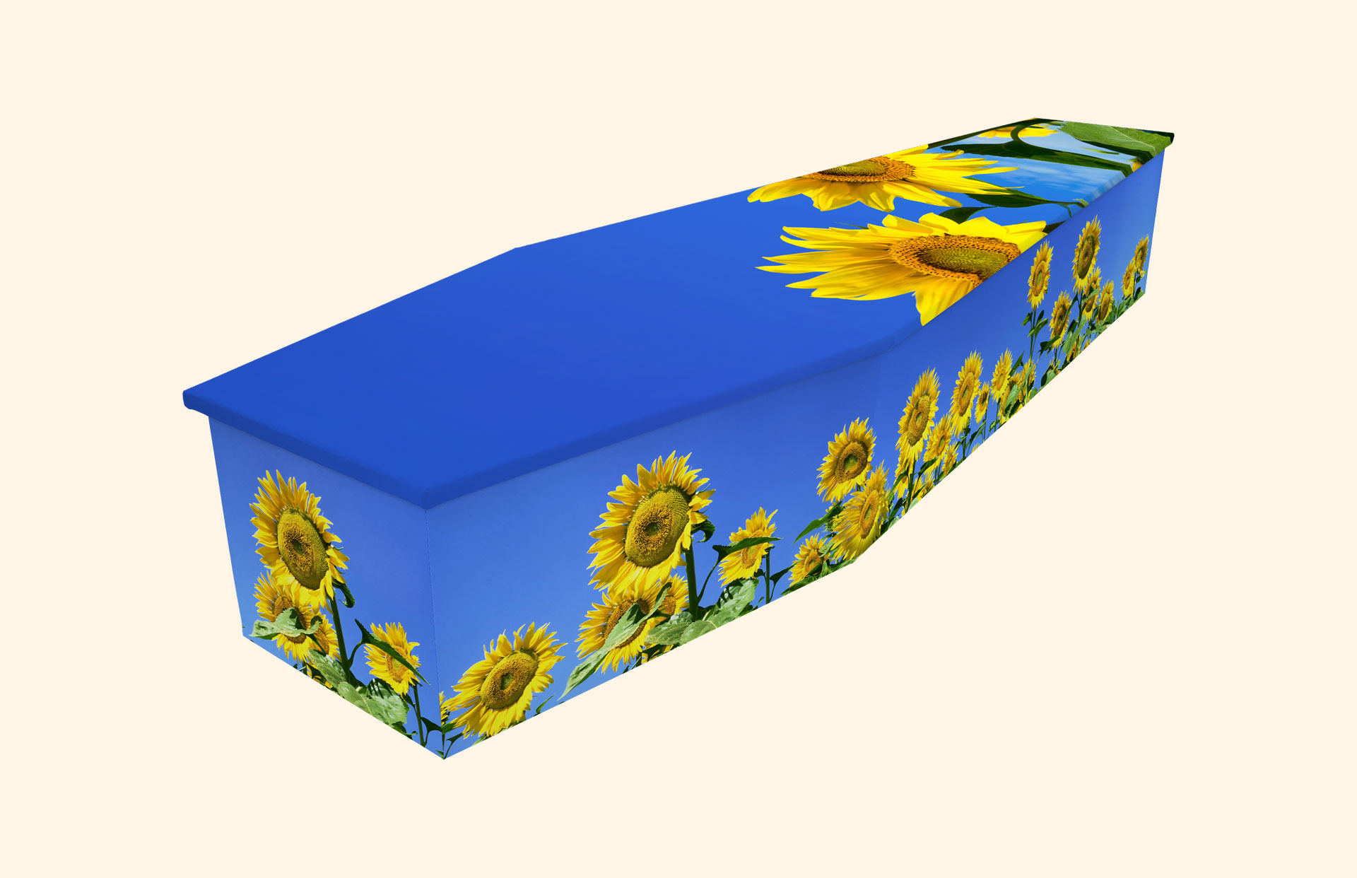 Sunflower Delight design on a cardboard coffin