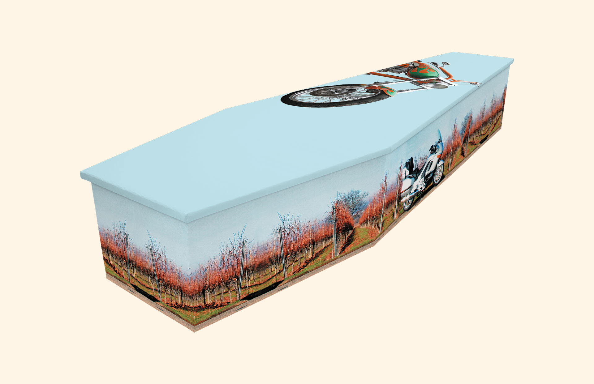 Easy Rider design on a cardboard coffin