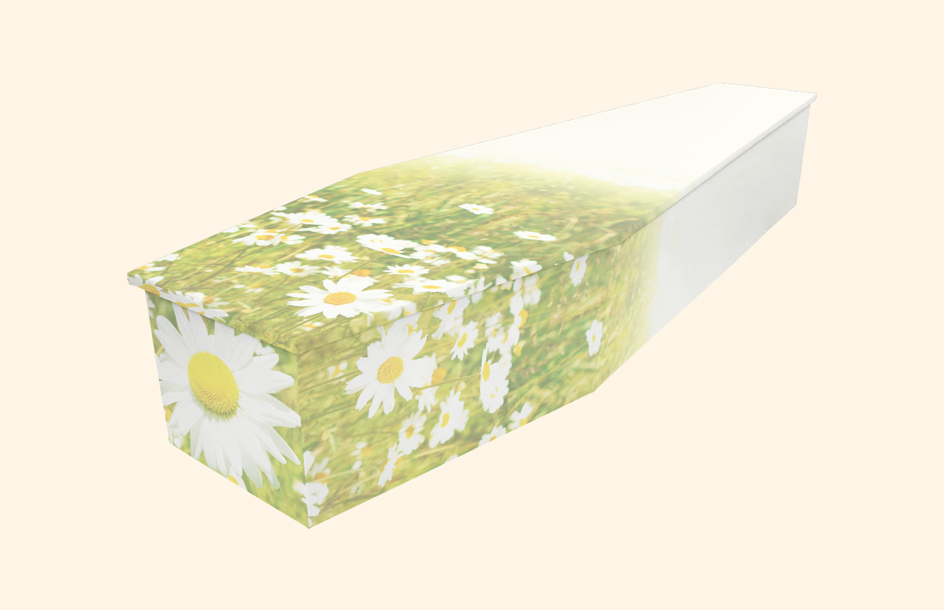 Blushing Daisies design on a cardboard coffin