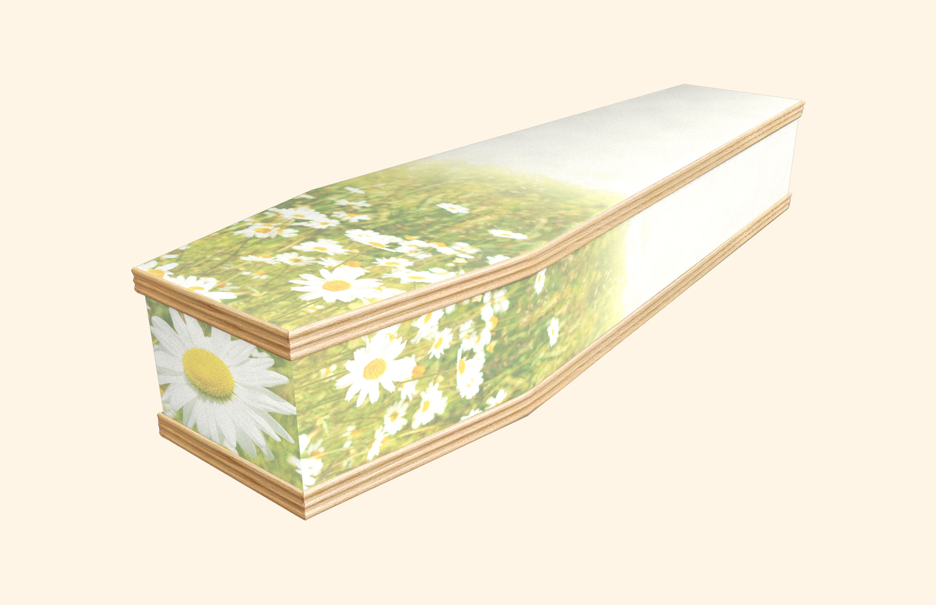 Blushing Daisies design on a classic coffin
