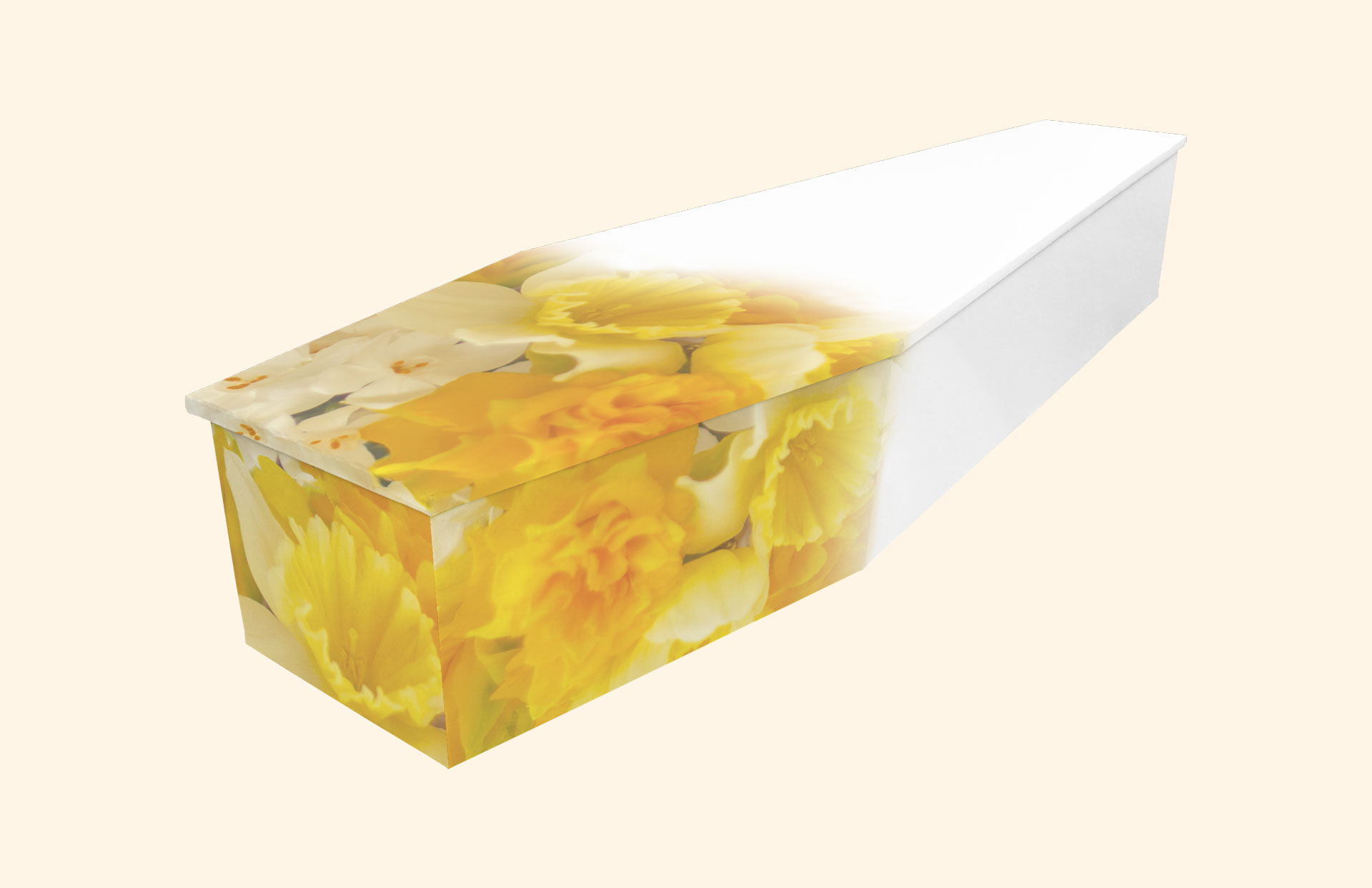 Blushing Daffodils design on a cardboard coffin