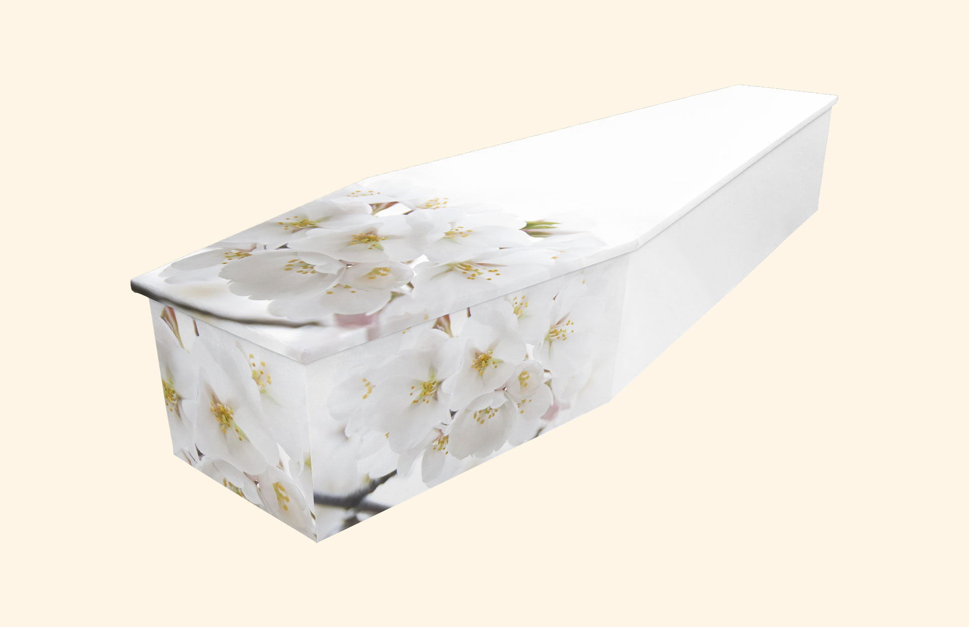 Blushing Apple Blossom design on a cardboard coffin