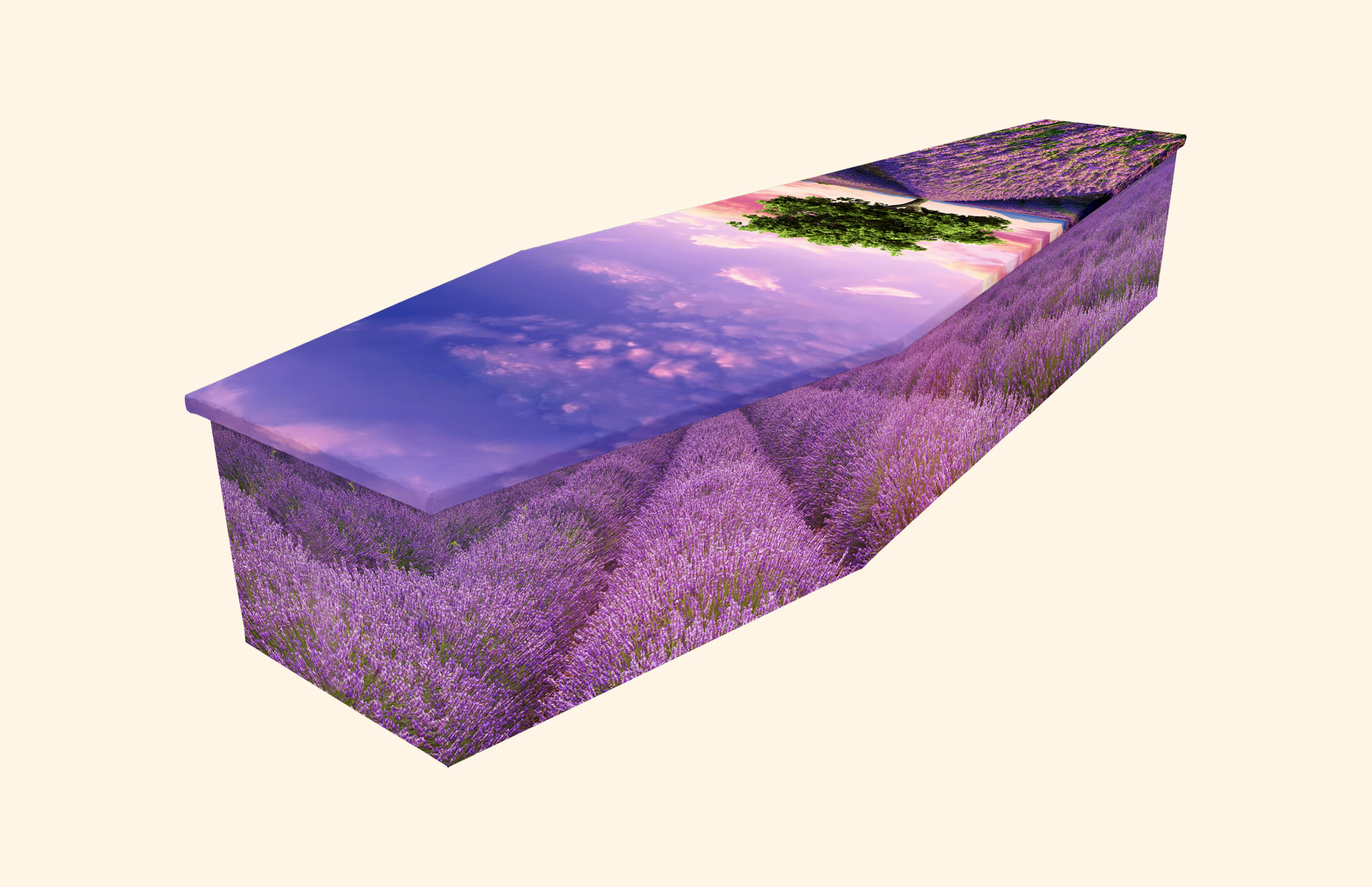 Lavender Field design on a cardboard coffin