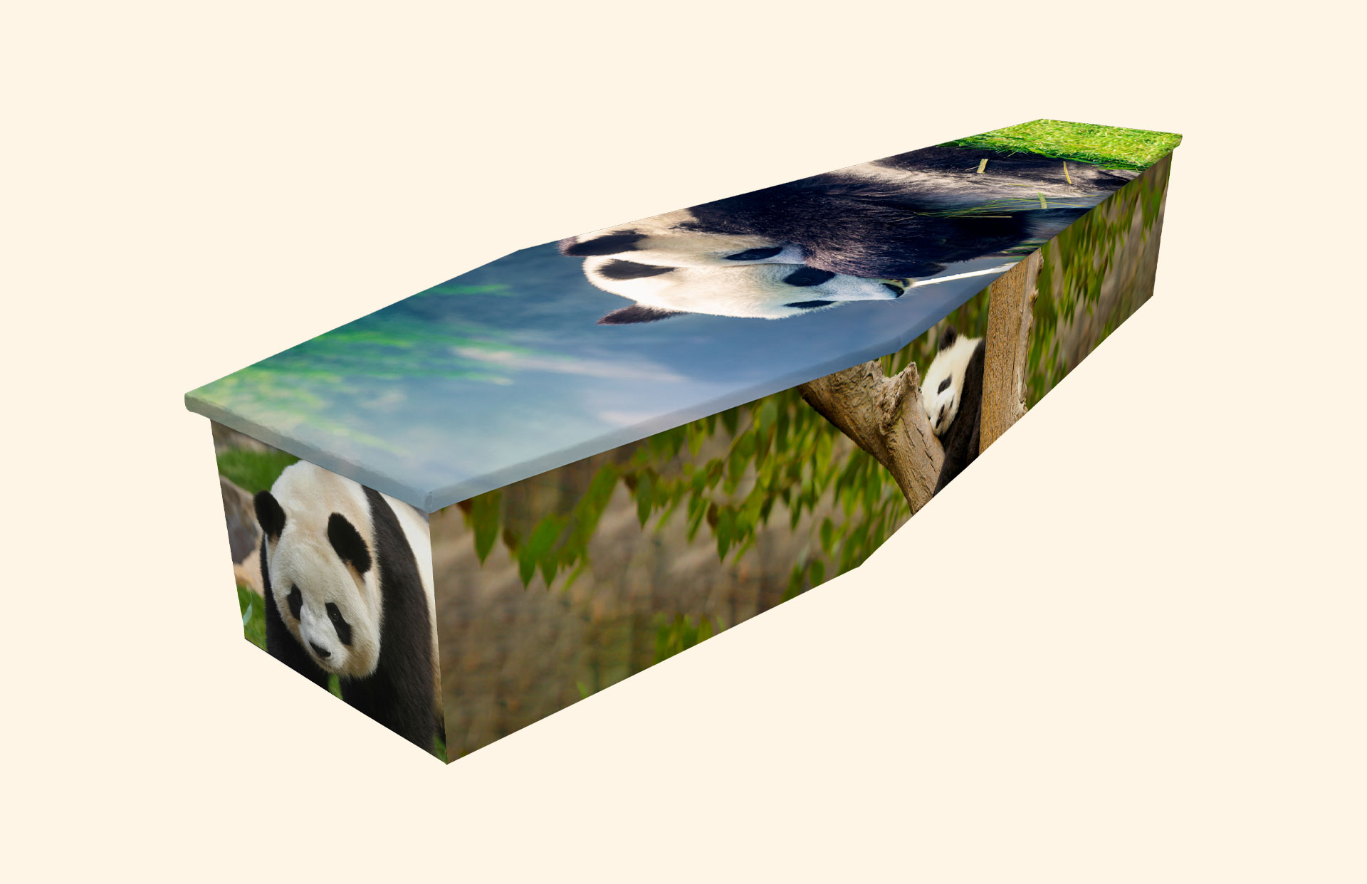 Panda Love design on a cardboard coffin
