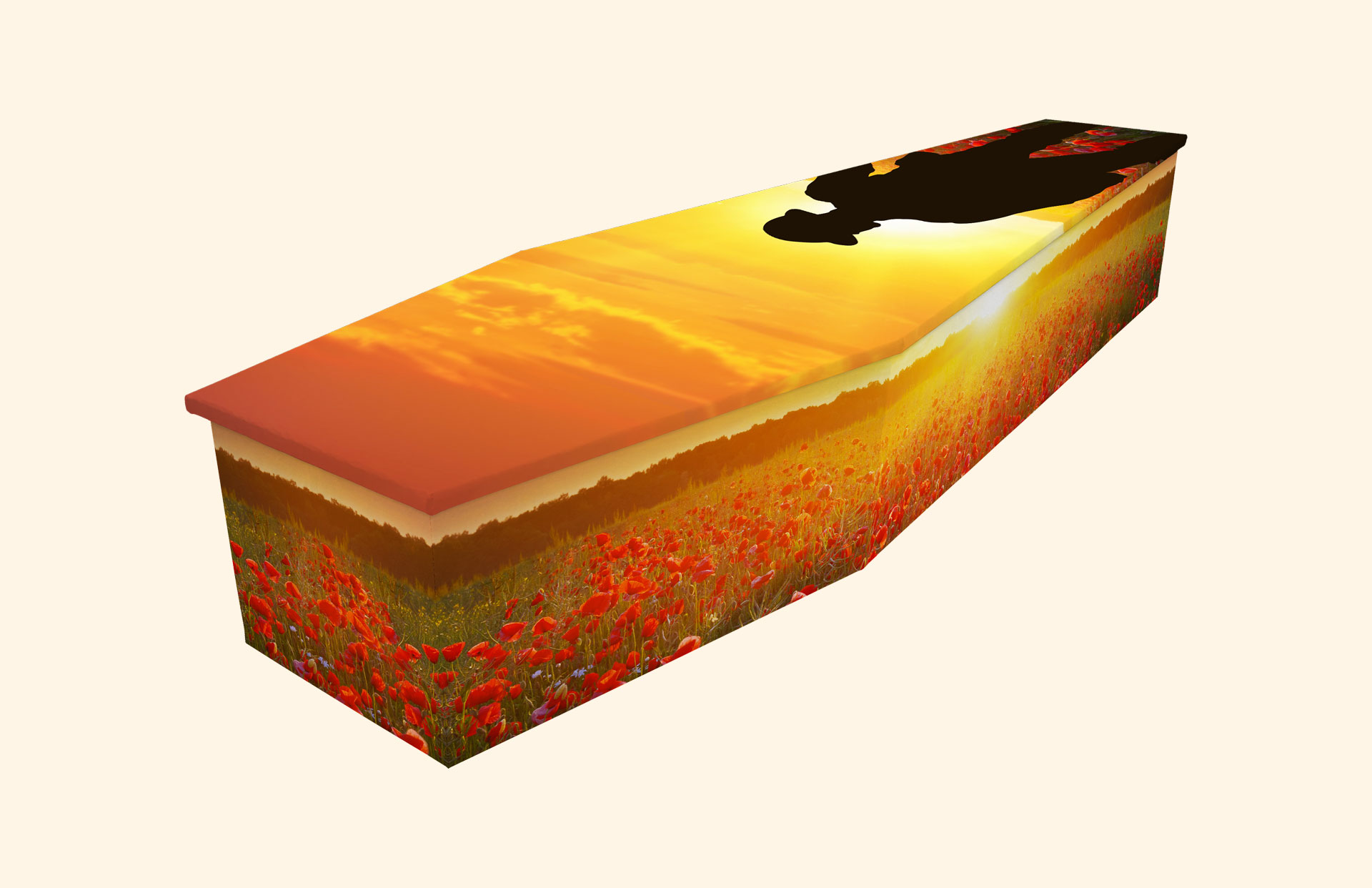 Lone Soldier design on a cardboard coffin