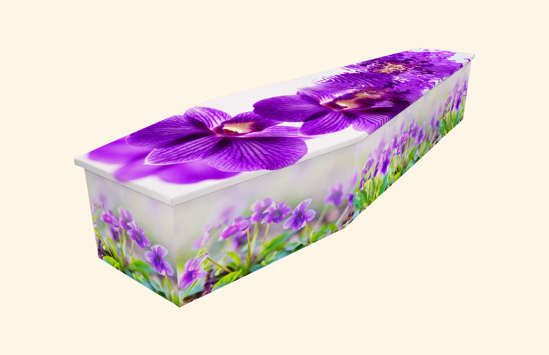 Dream in Purple design on a cardboard coffin