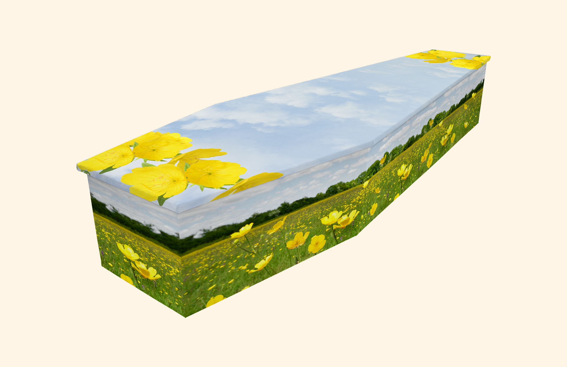 Field of Primroses and Buttercups design on a cardboard coffin
