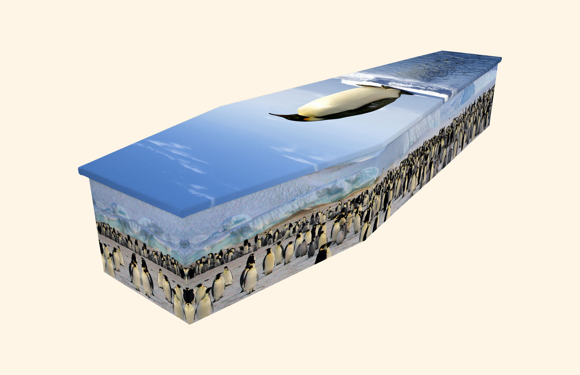 Waddle design on a cardboard coffin