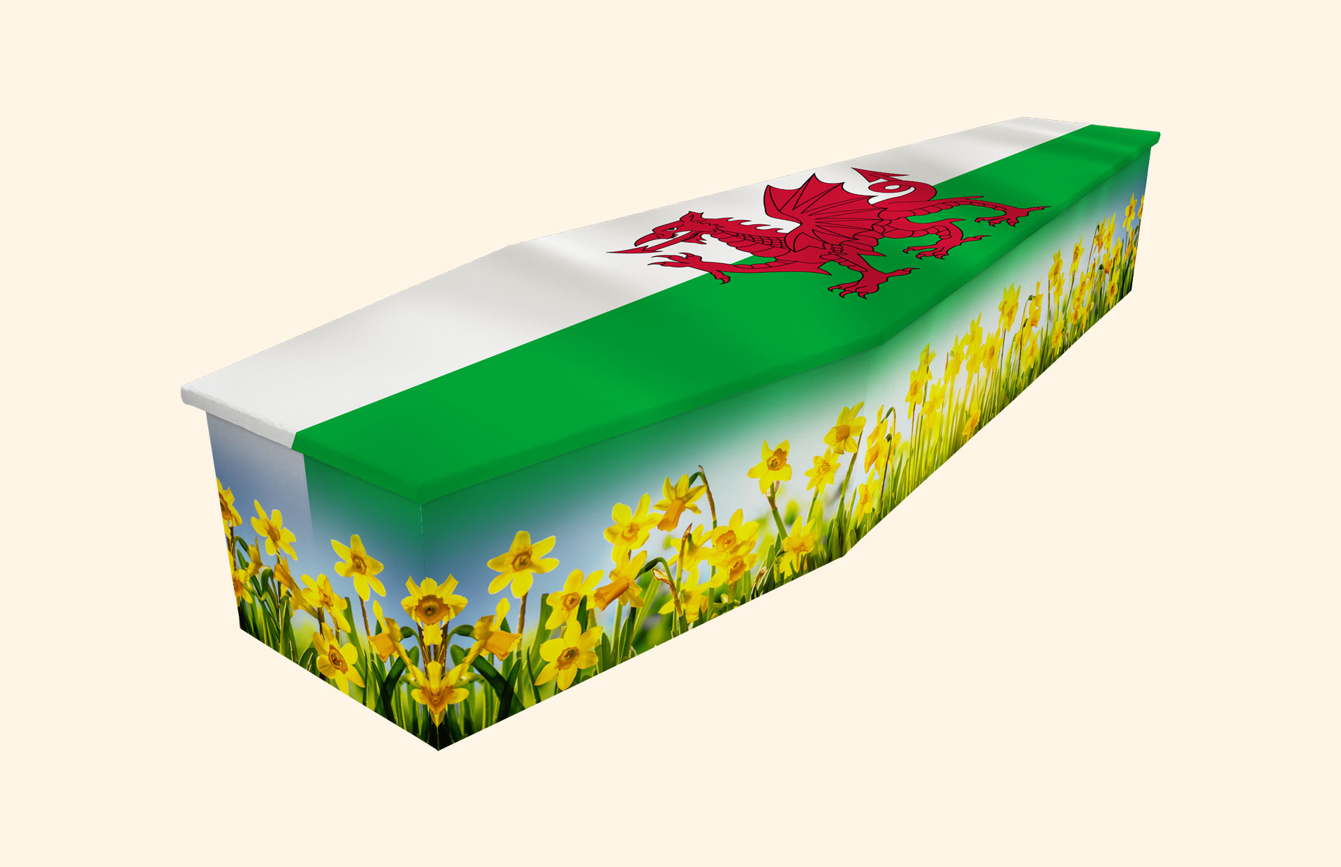 Cymru Am Byth design on a cardboard coffin