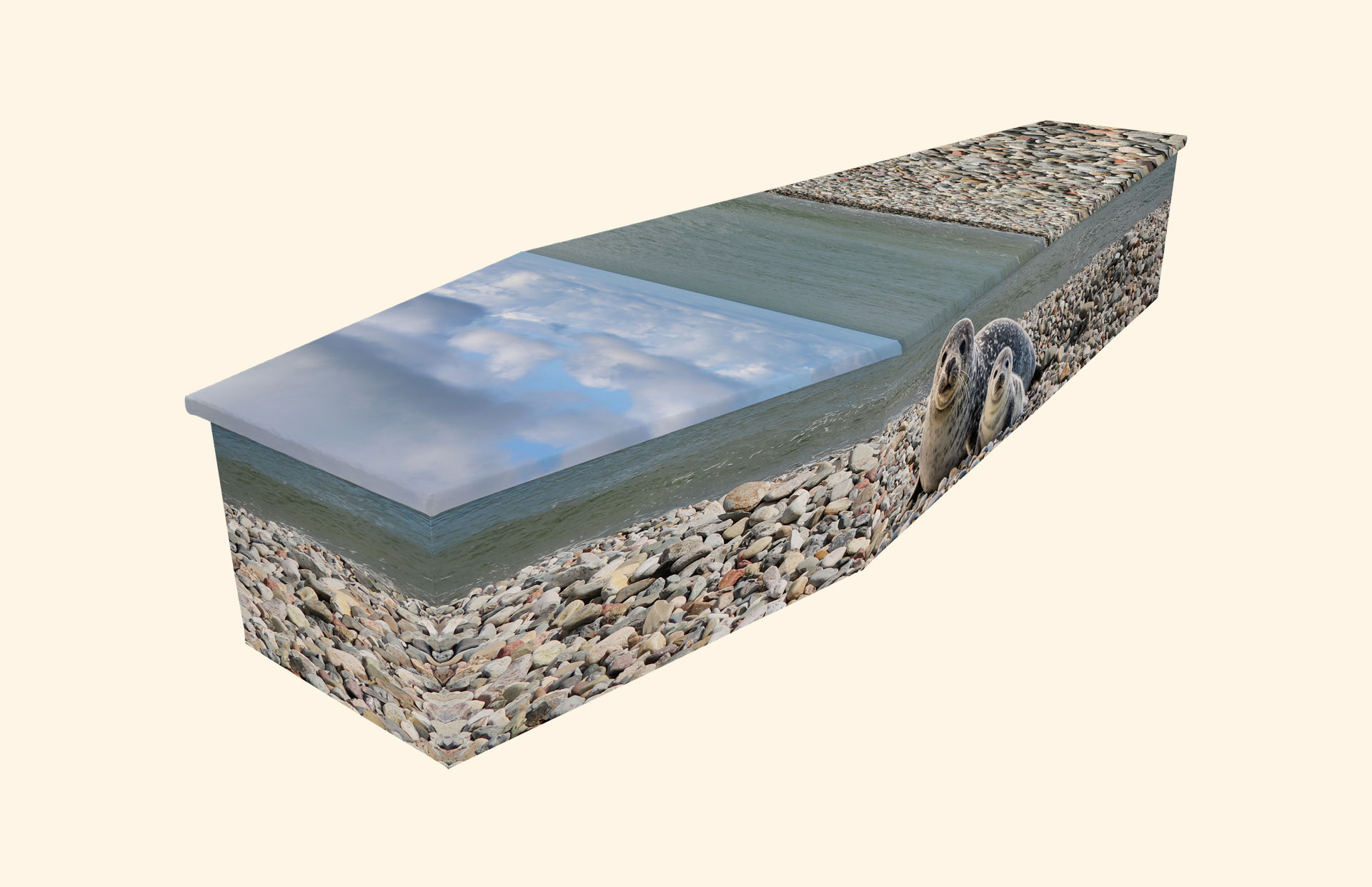 Llandudno Seals design on a cardboard coffin