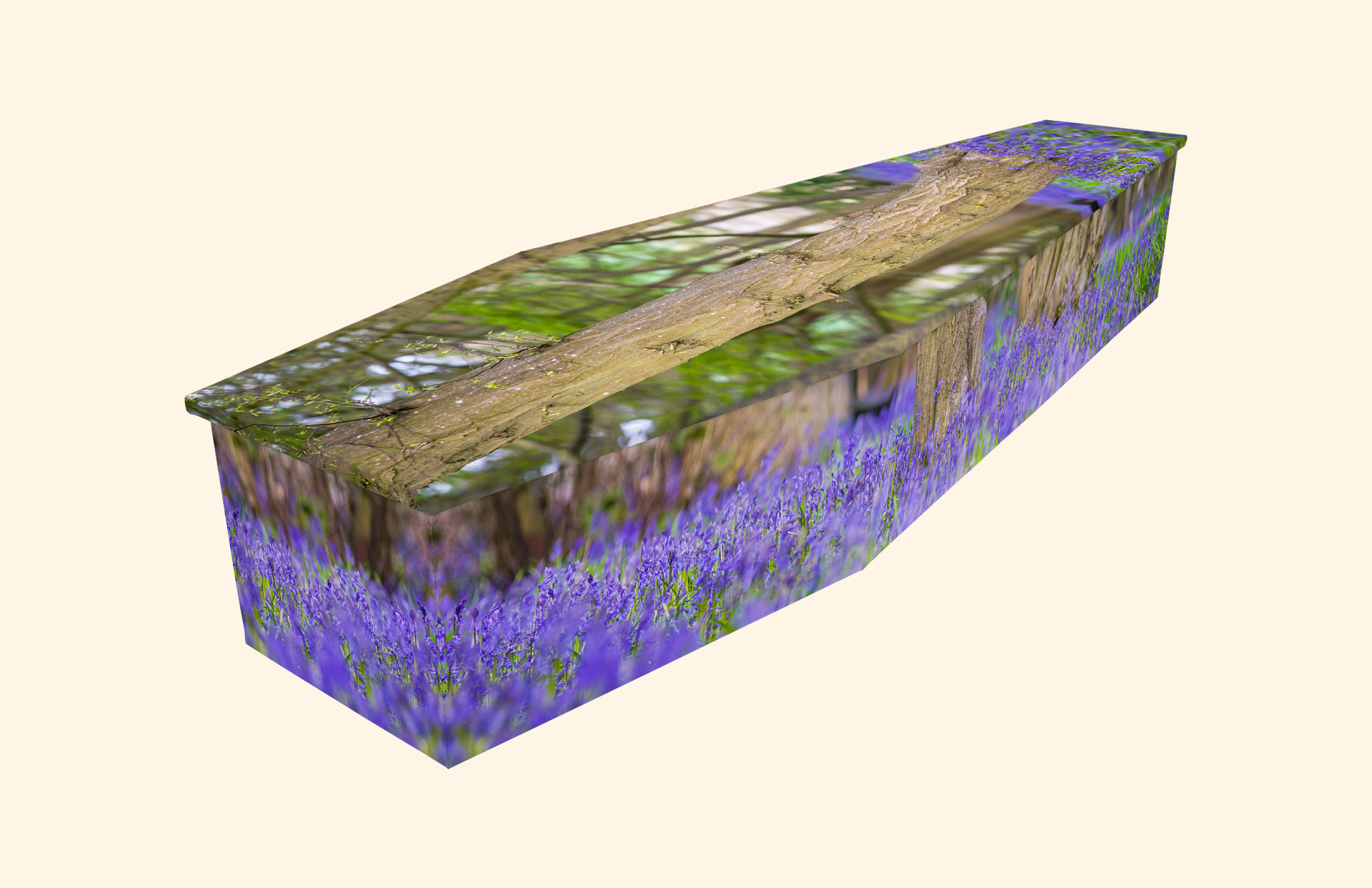 Hertfordshire Woods design on a cardboard coffin