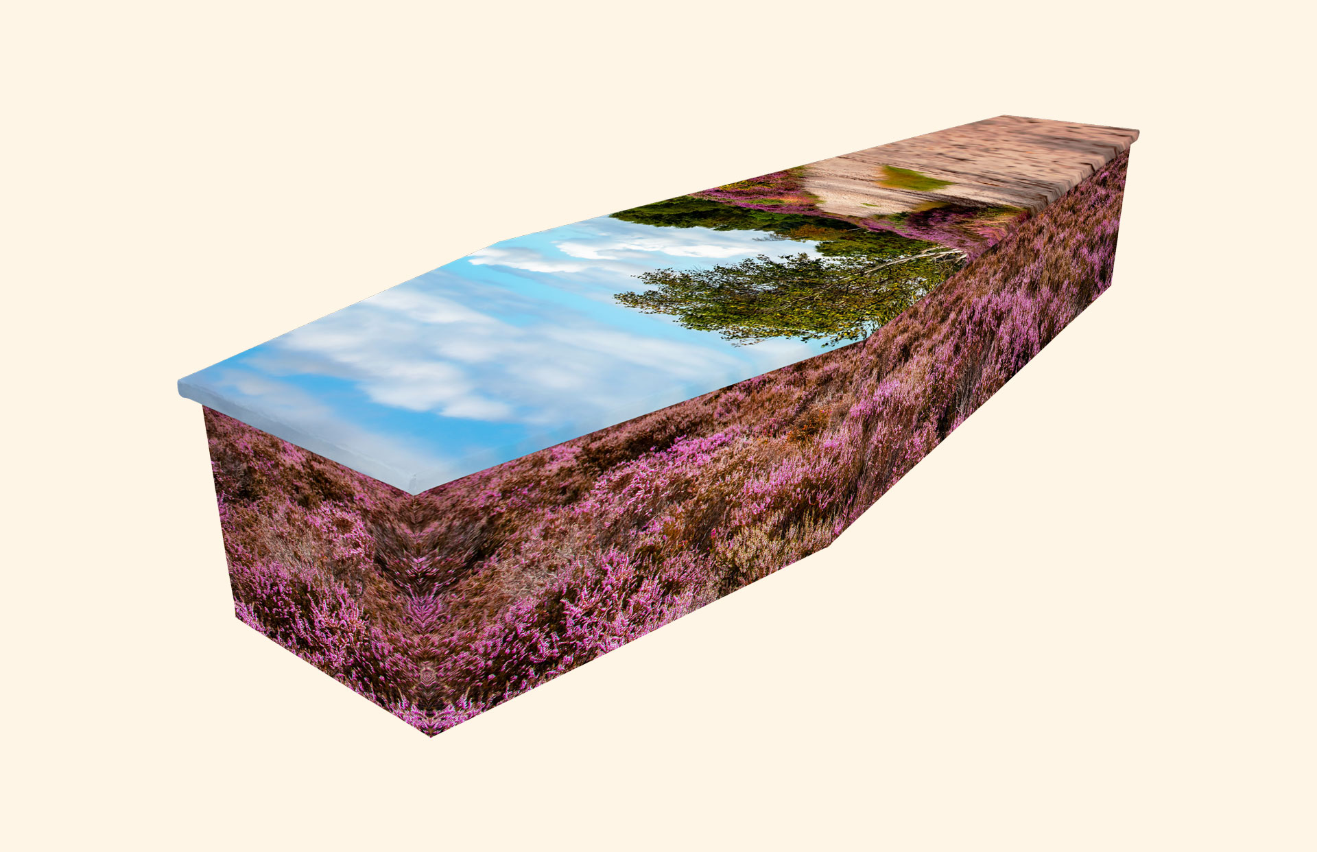 Dunwich Heath design on a cardboard coffin