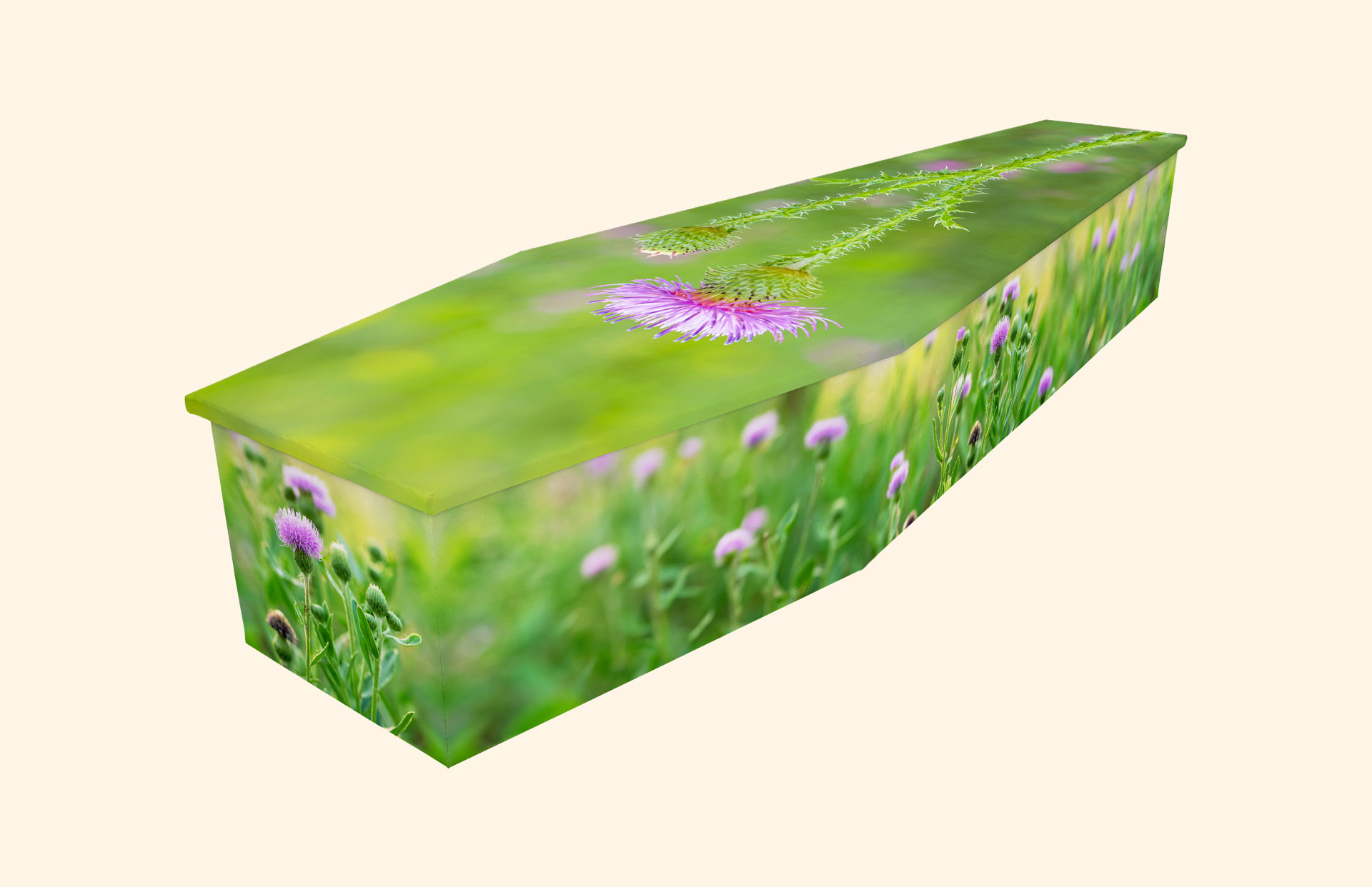 Thistle design on a cardboard coffin