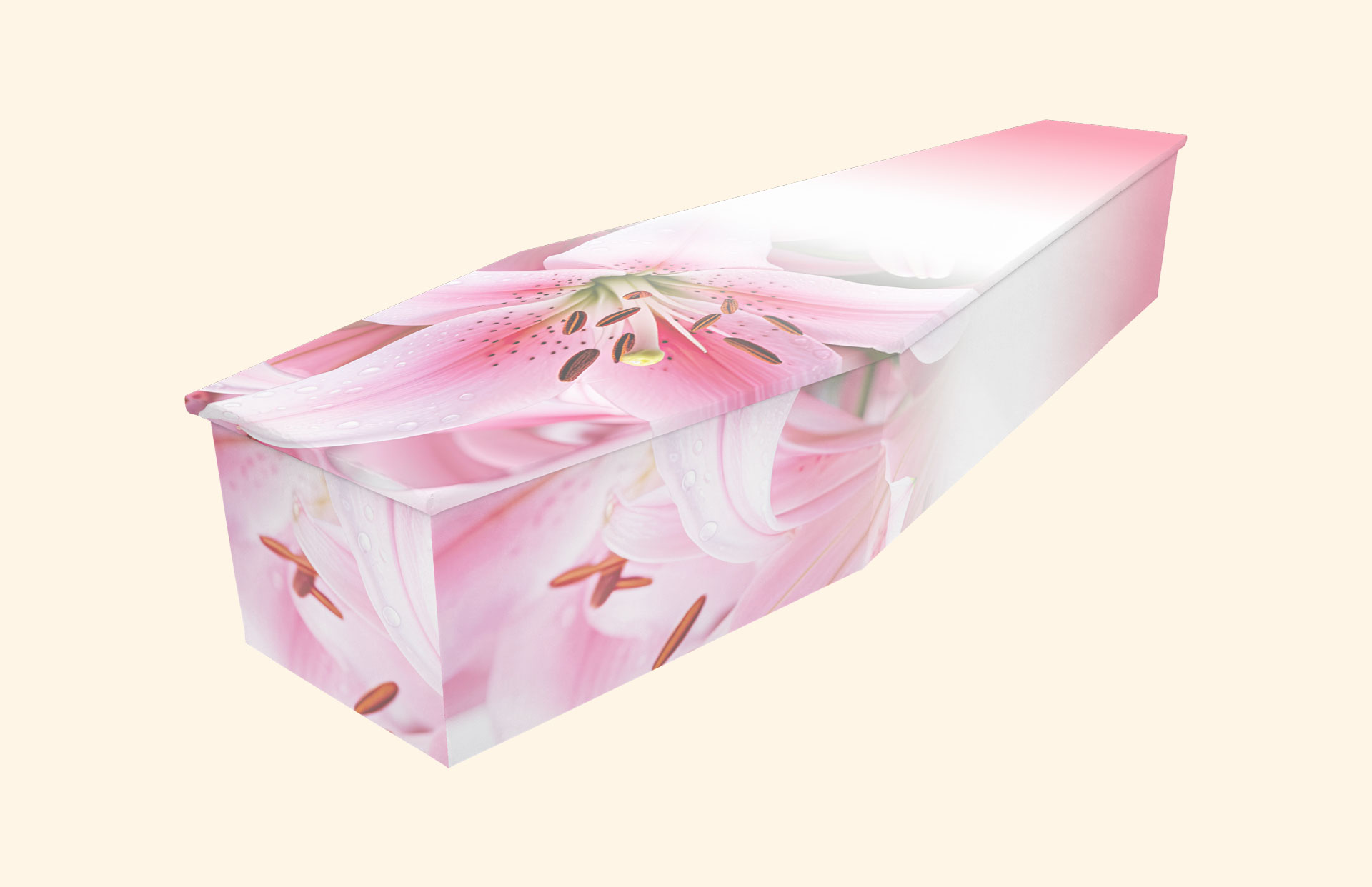 Lillian design on a cardboard coffin