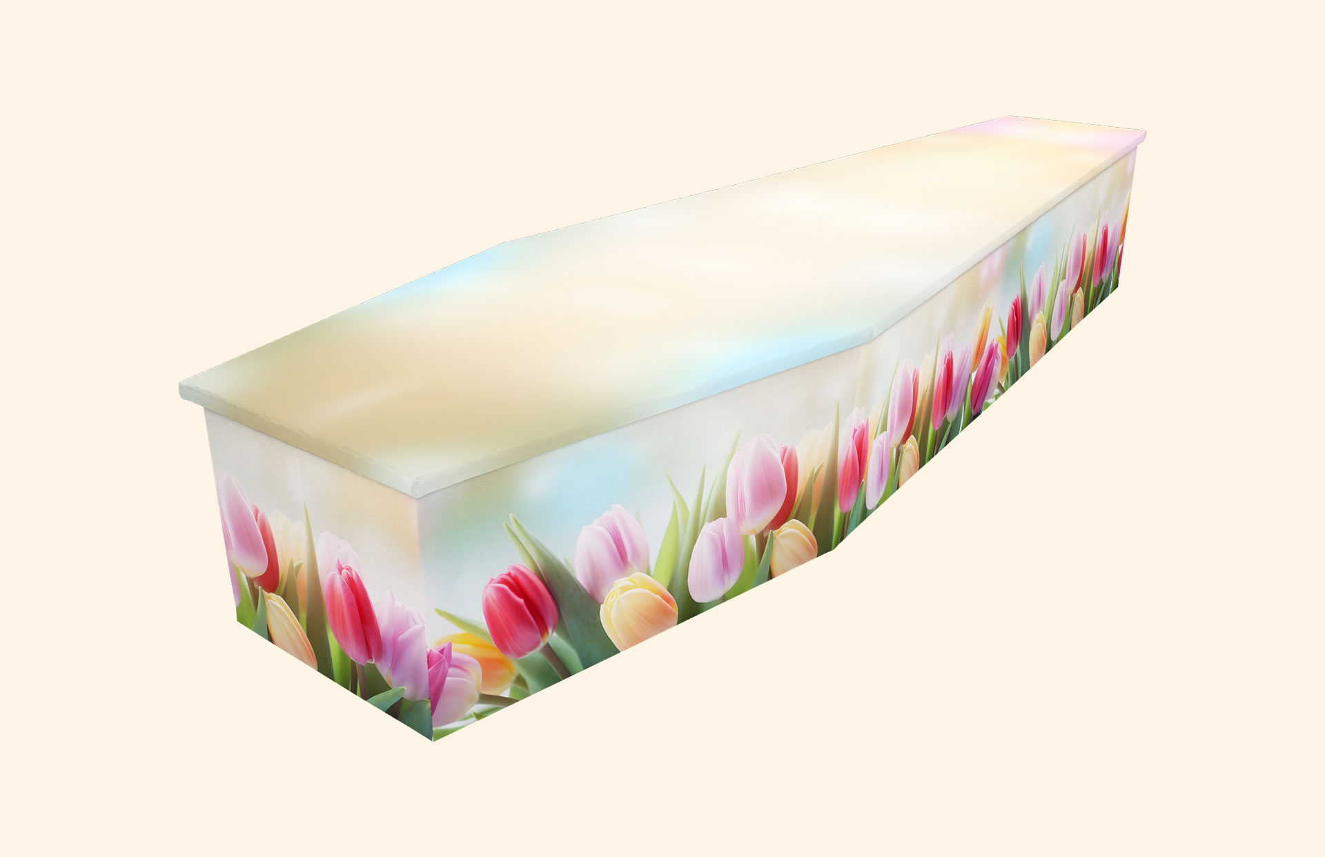 Delicate Pastels design on a cardboard coffin