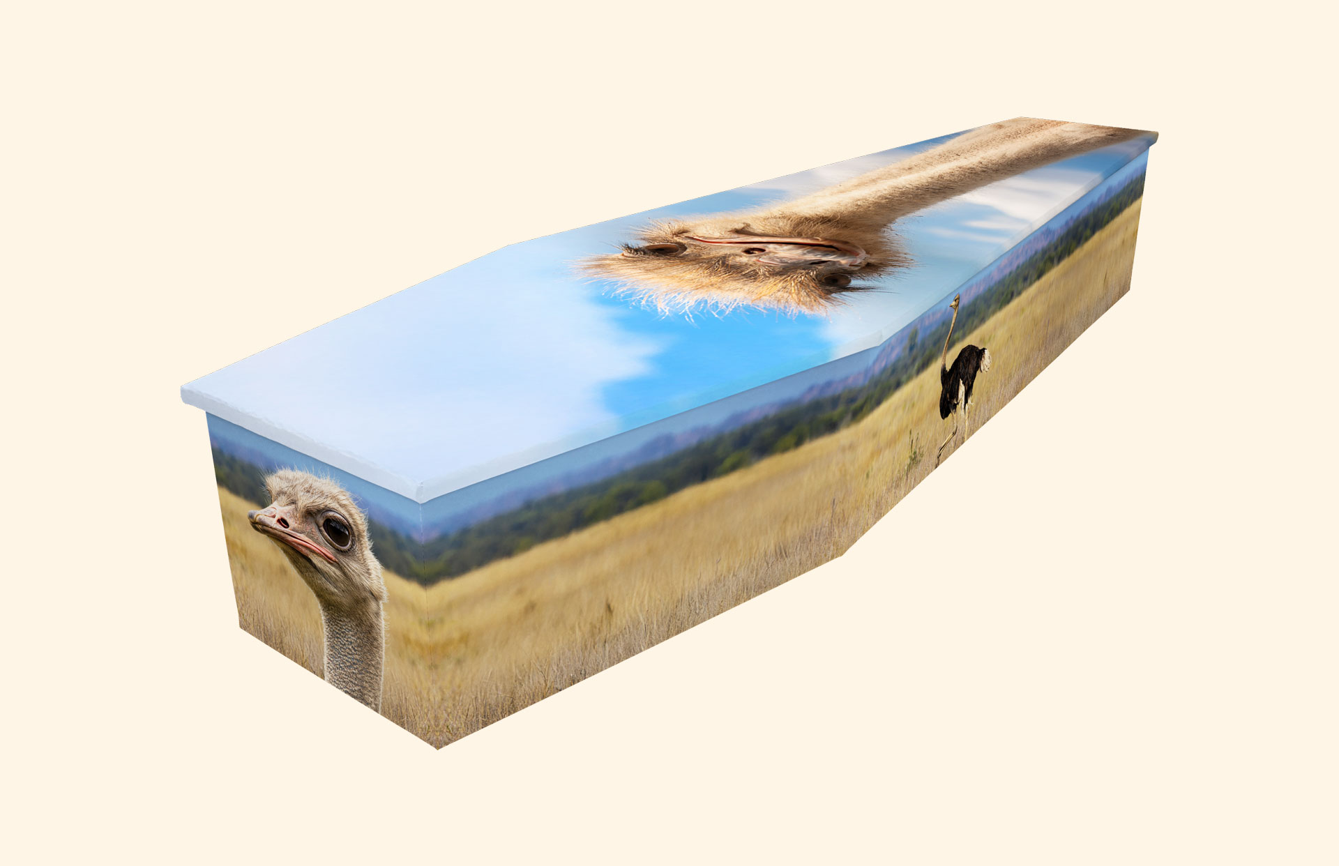 Ostrich Race design on a cardboard coffin