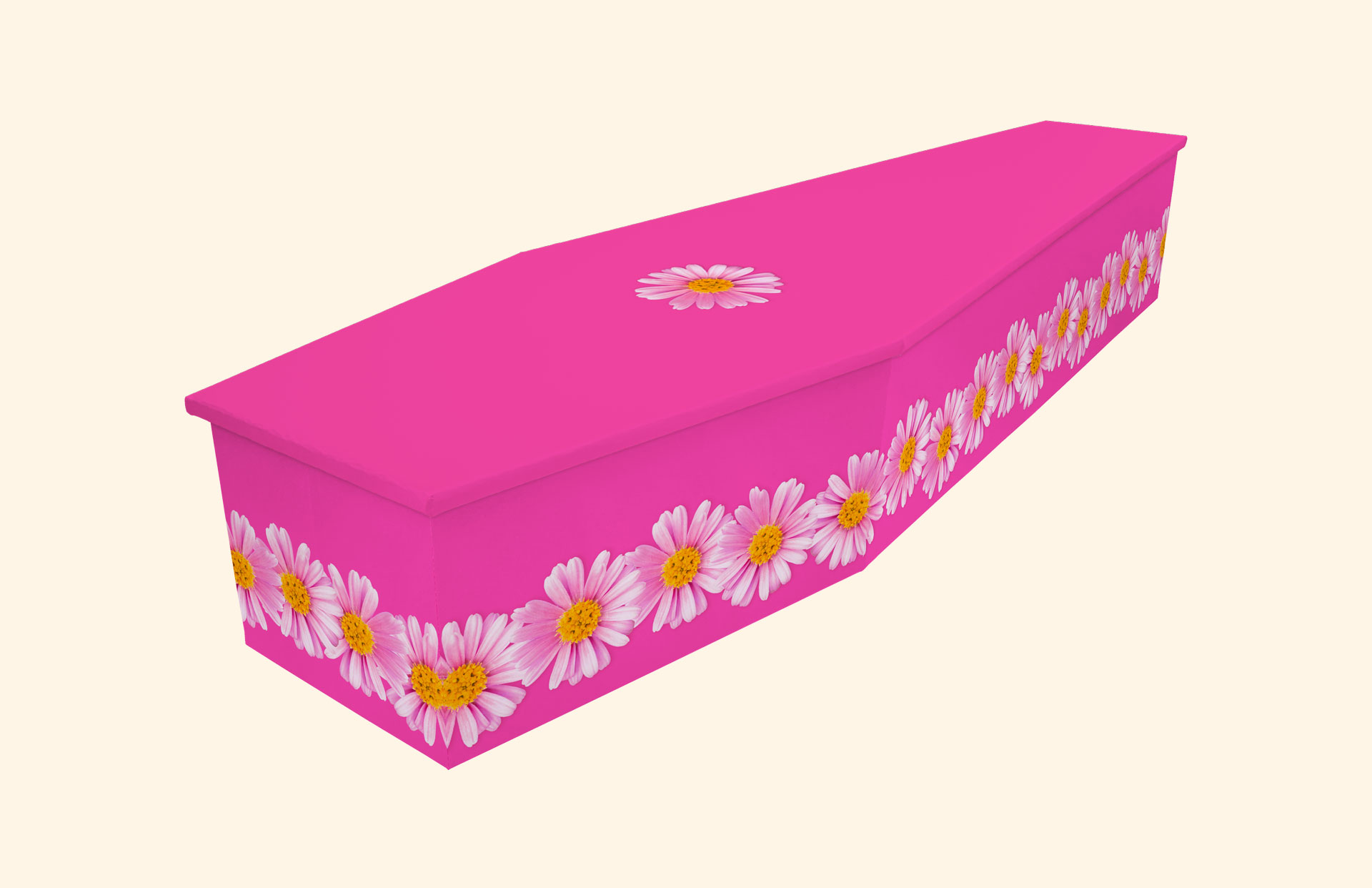 Daisies on Bright Pink design on a cardboard coffin