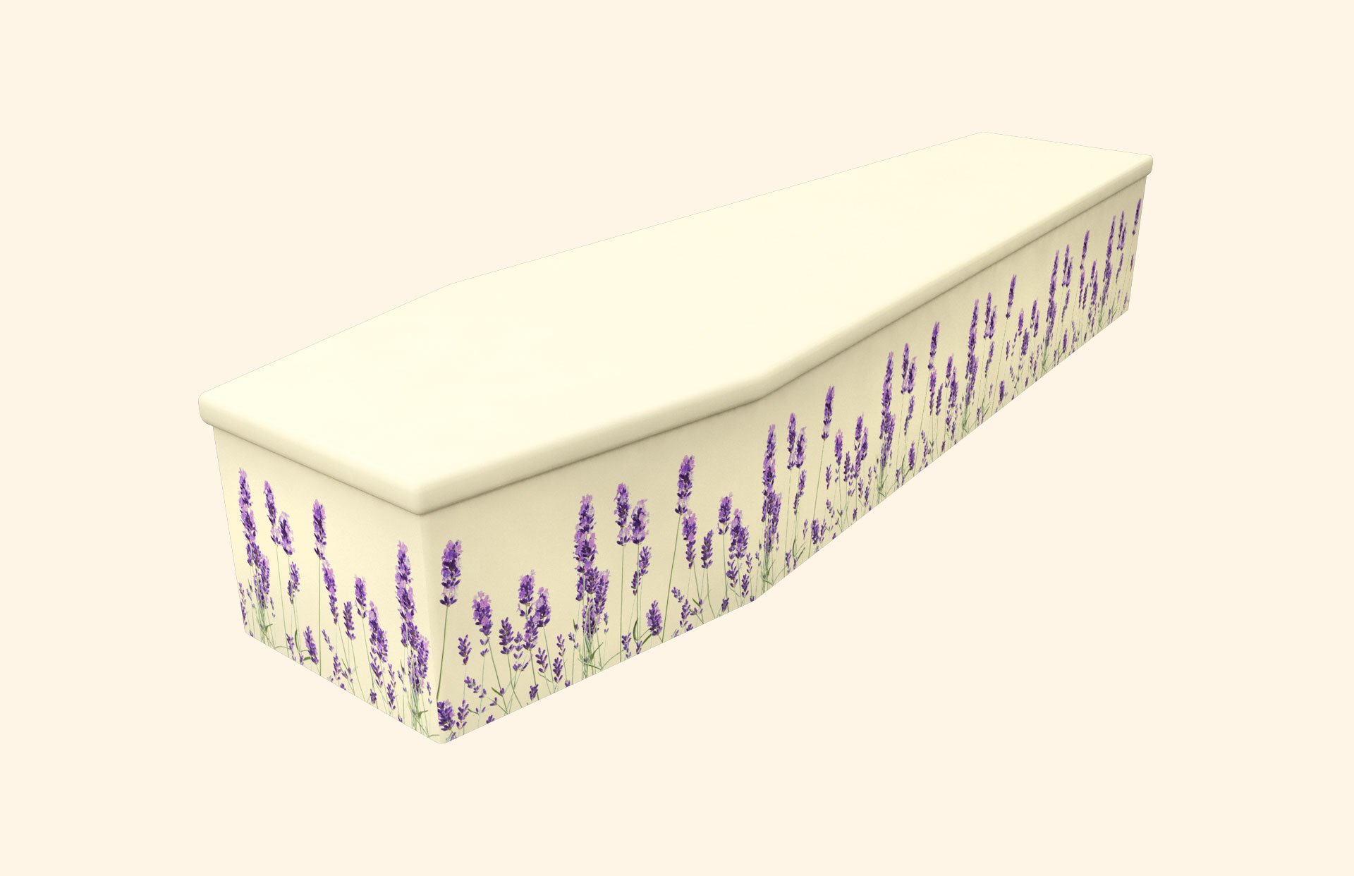 Lavender and Cream Cardboard coffin