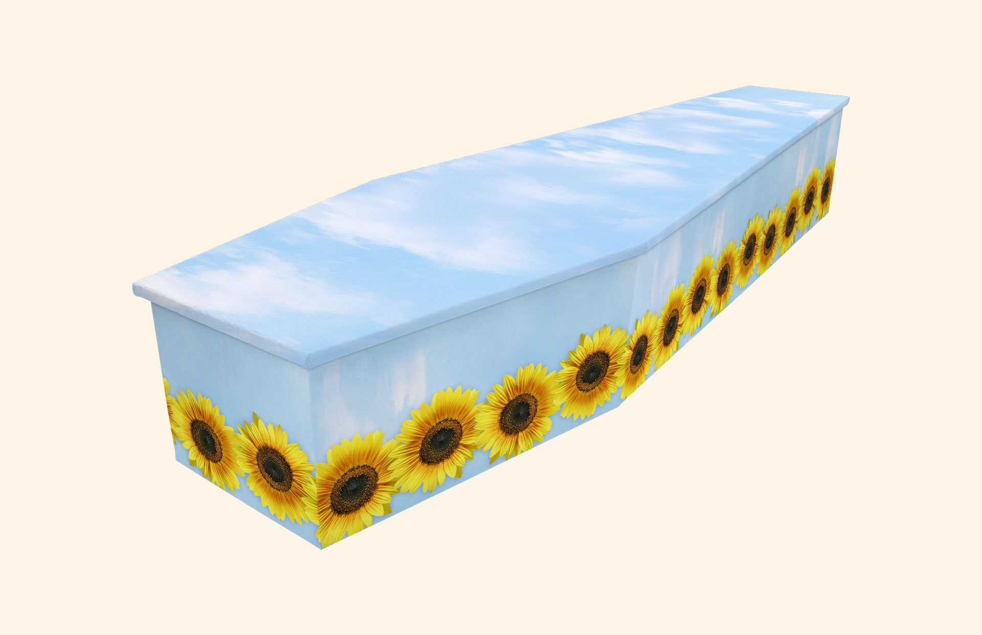 Sunflower Sky design on a cardboard coffin
