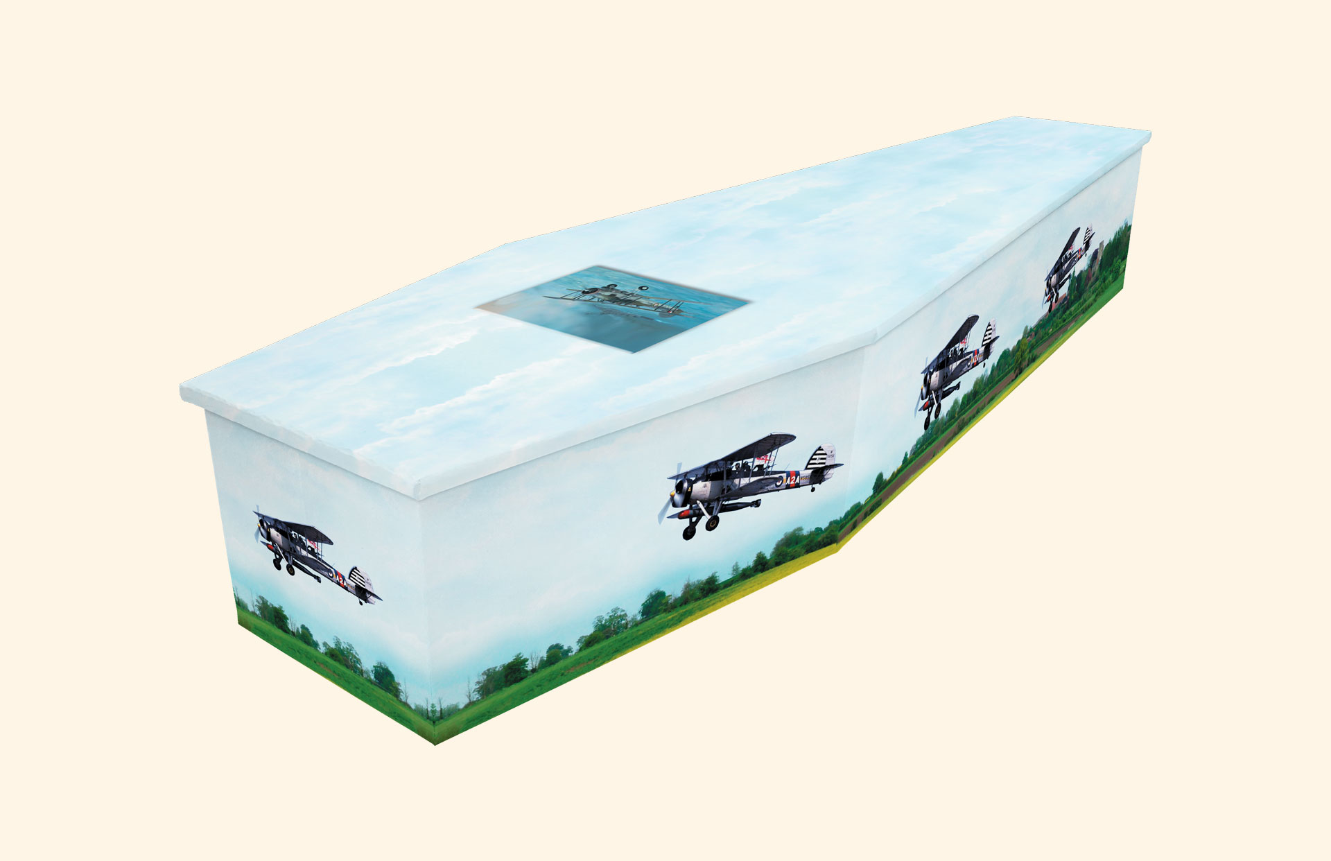 Swordfish design on a cardboard coffin