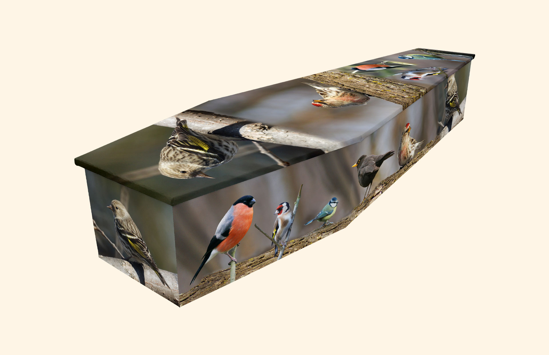 British Birds design on a cardboard coffin