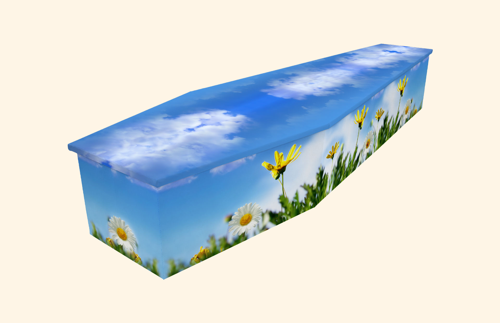 Innocence design on a cardboard coffin