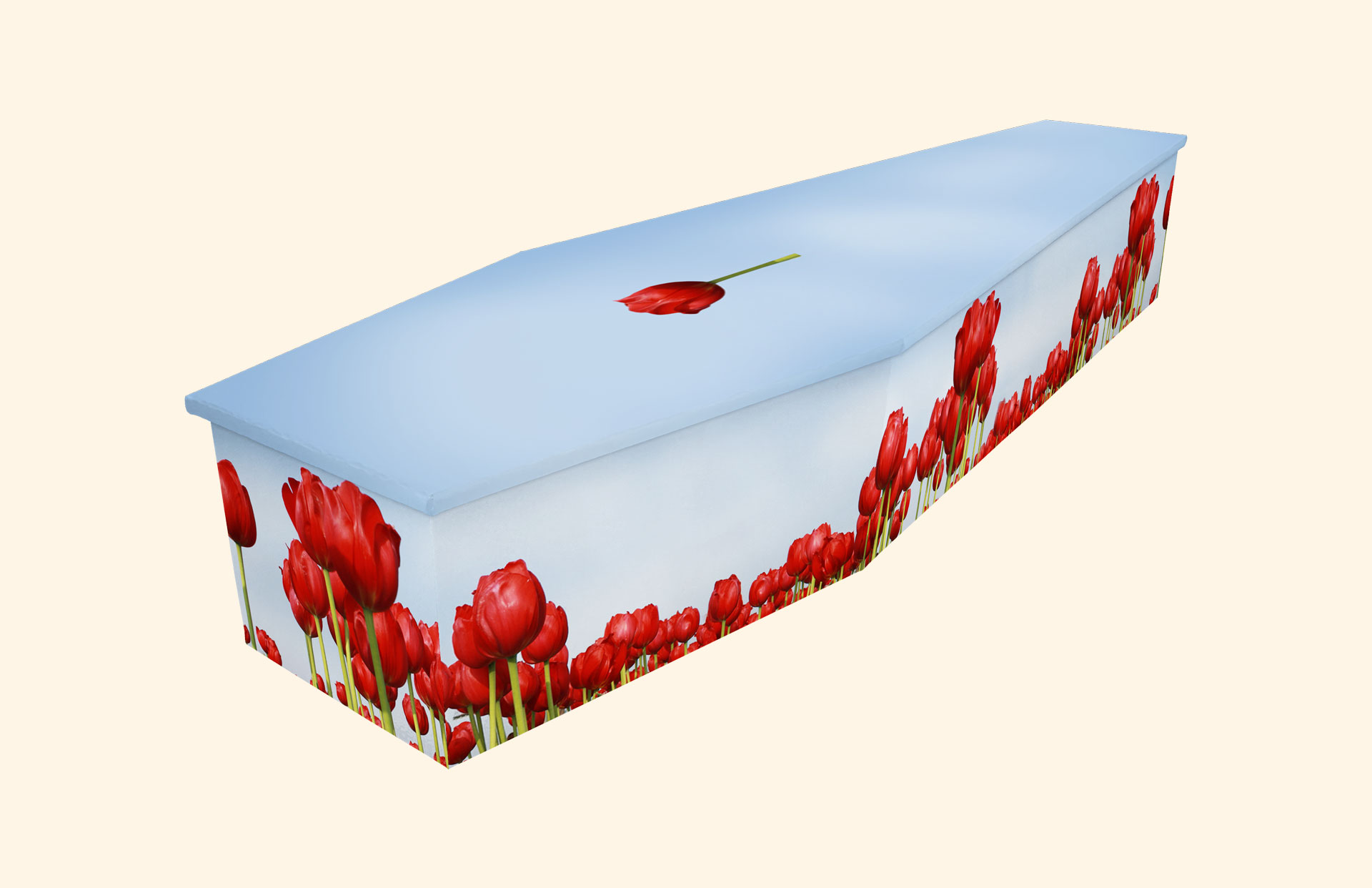 Tulips design on a cardboard coffin