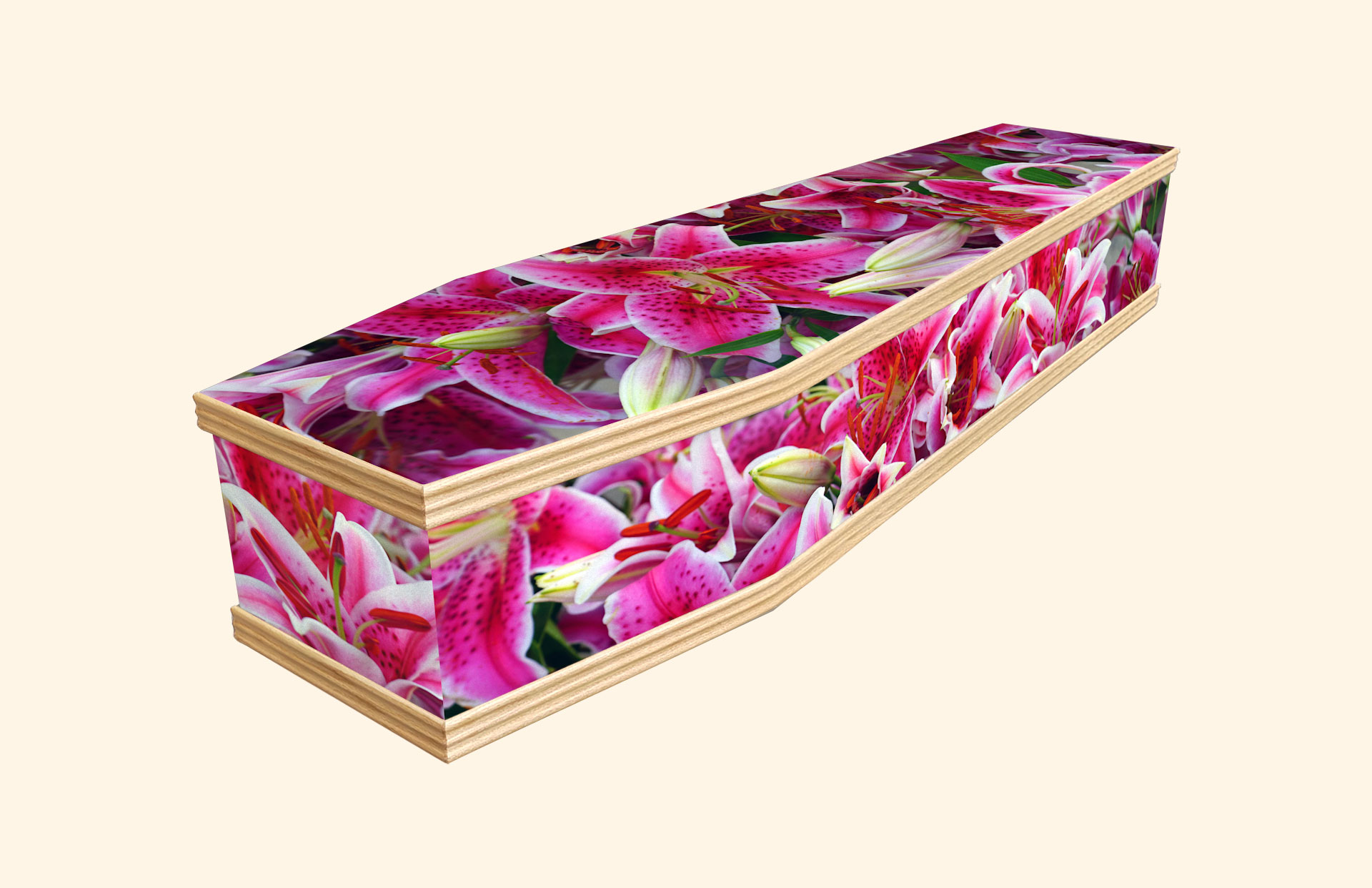 Stargazer design on a classic coffin
