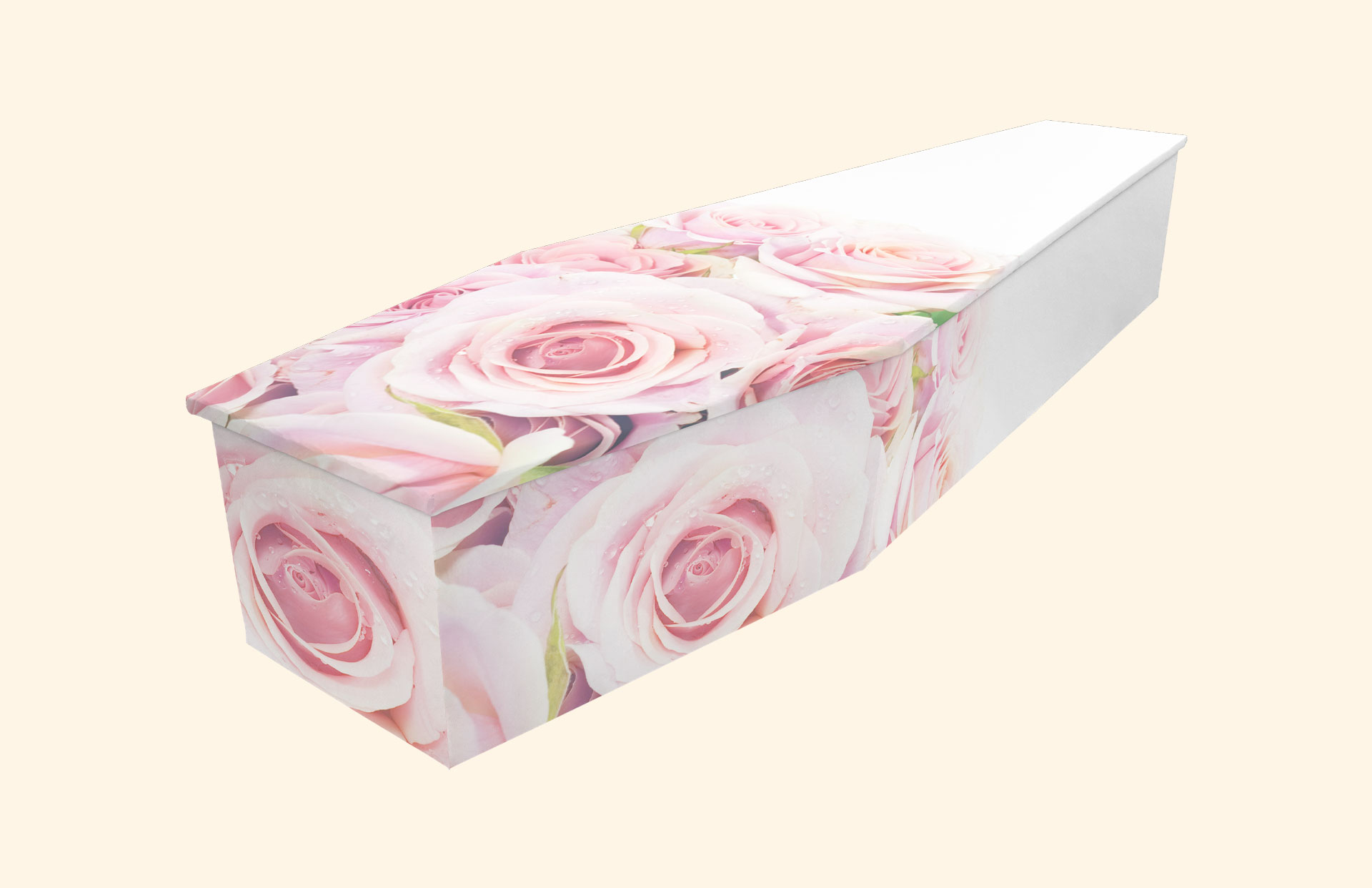 Blushing Rose design on a cardboard coffin