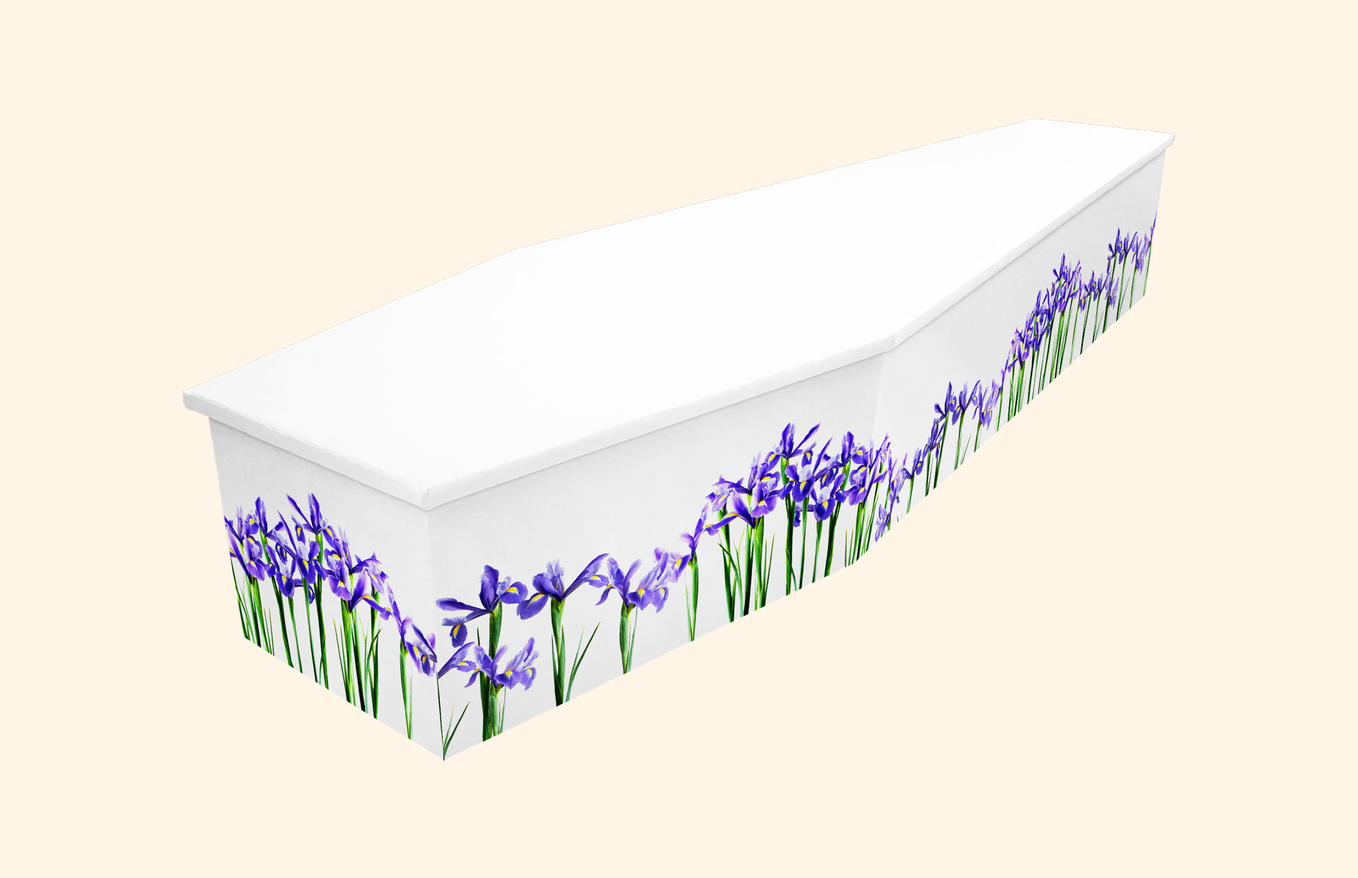 Iris design on a cardboard coffin