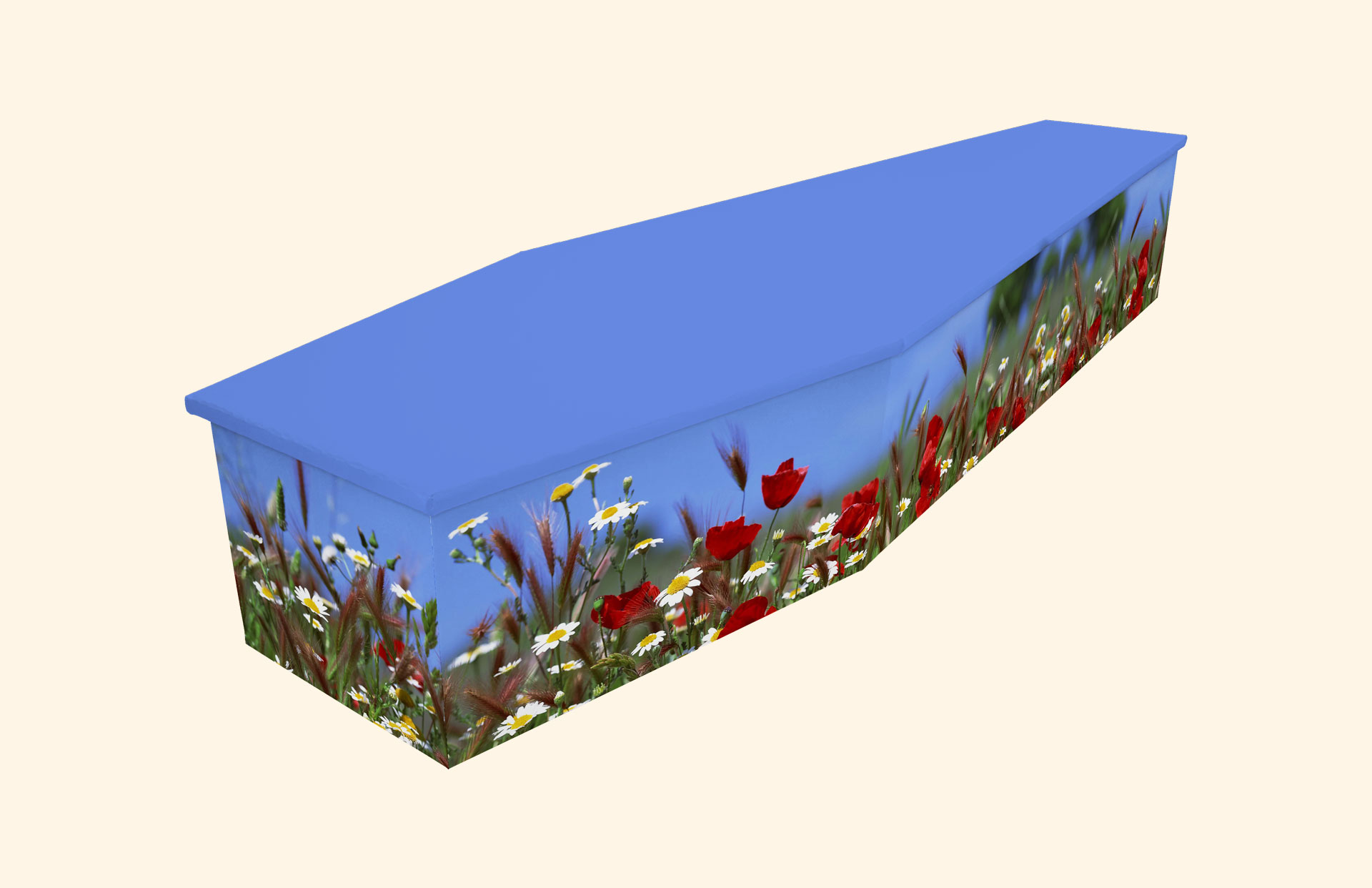 Beautiful Day design on a cardboard coffin