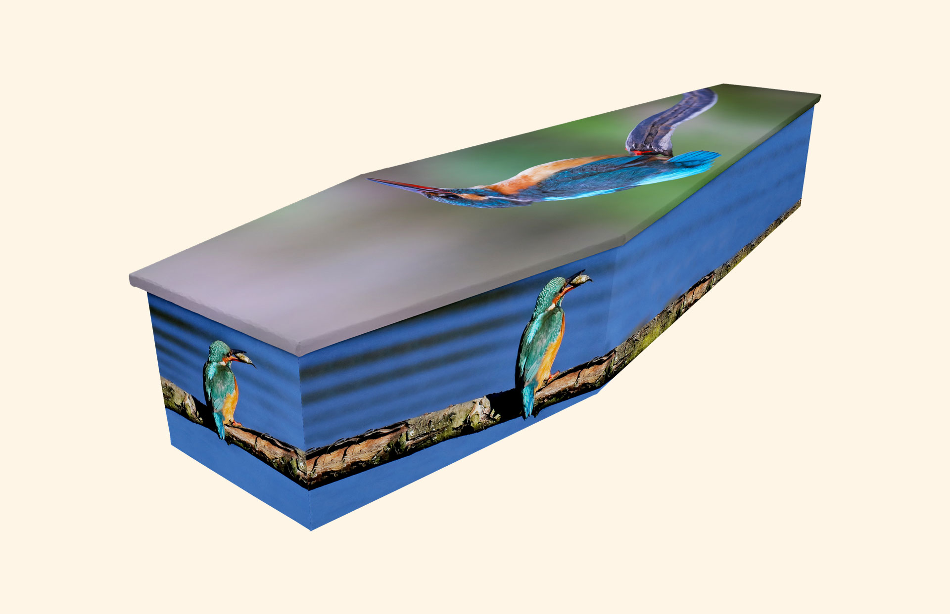 Kingfisher design on a cardboard coffin