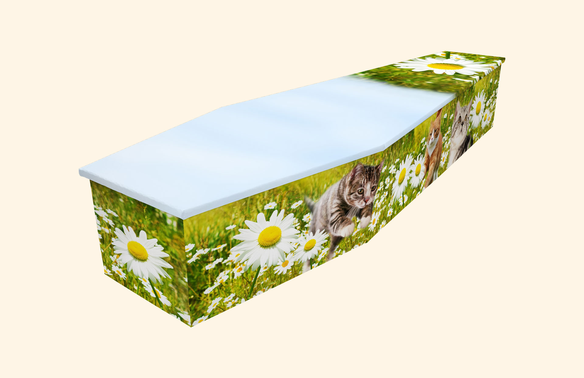 Purrfect Daisy design on a cardboard coffin