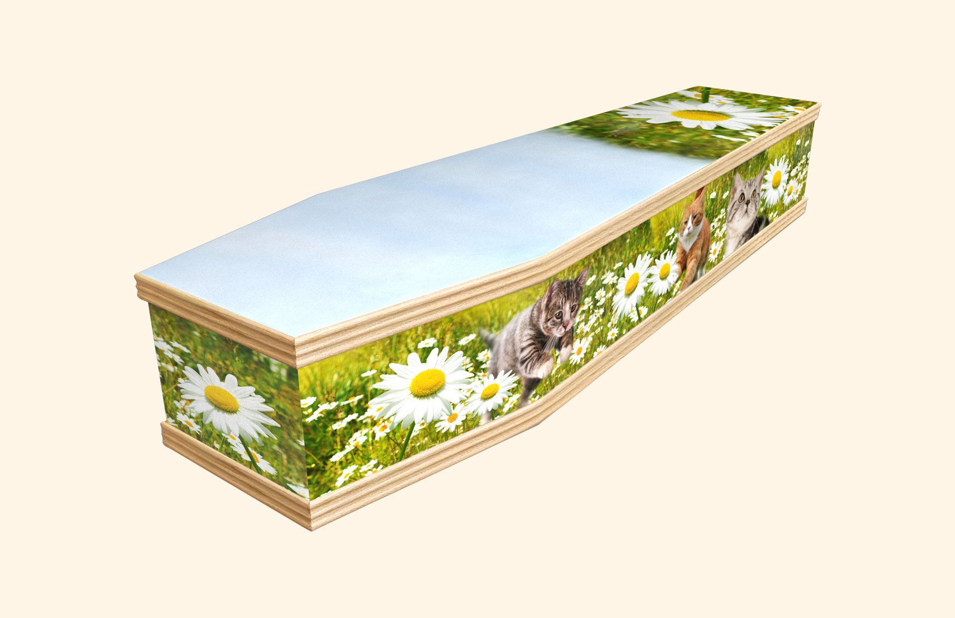 Purrfect Daisy design on a classic coffin