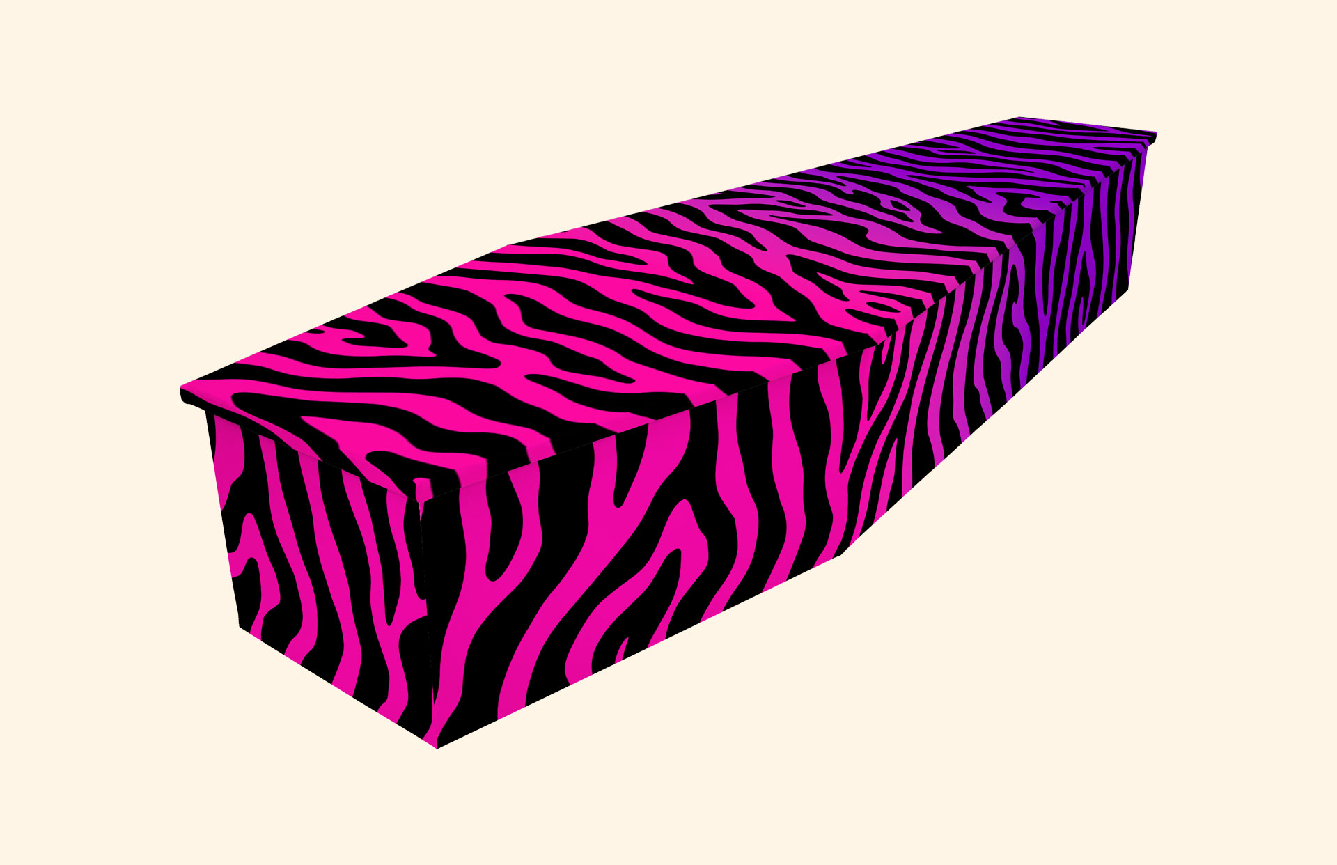 Funky Zebra design on a cardboard coffin