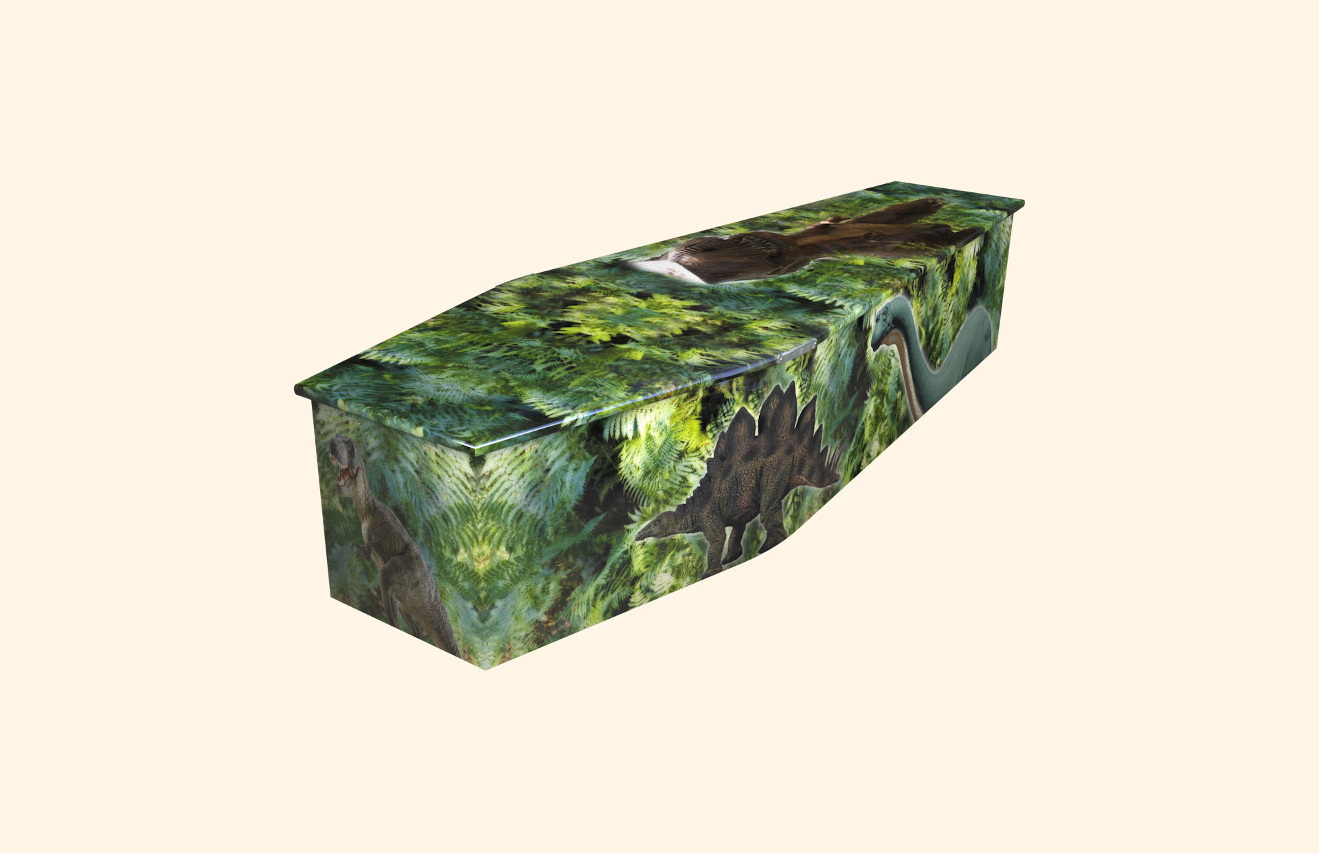 Dinosaurs child coffin