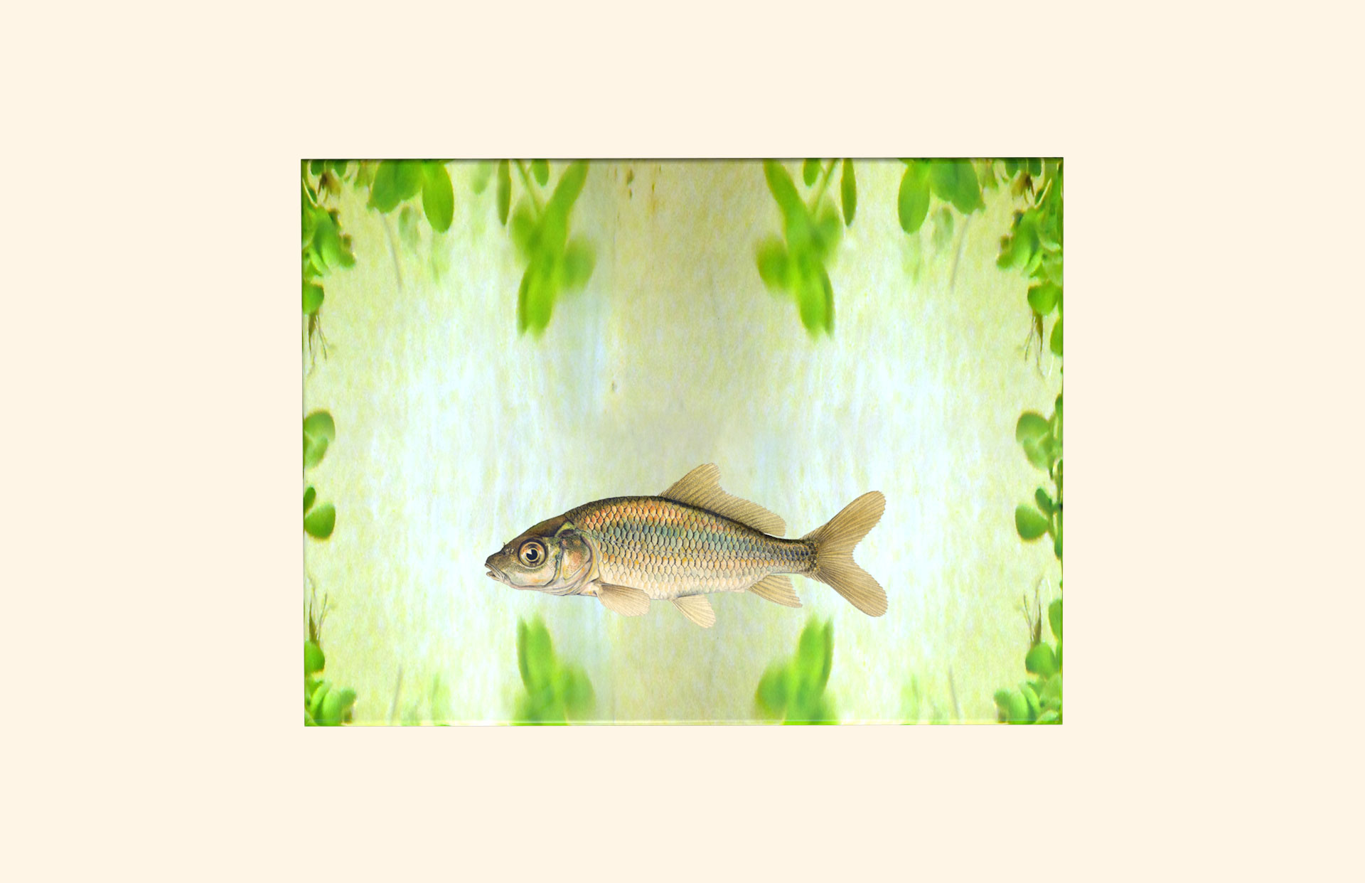 River Bed adult ashes casket top view