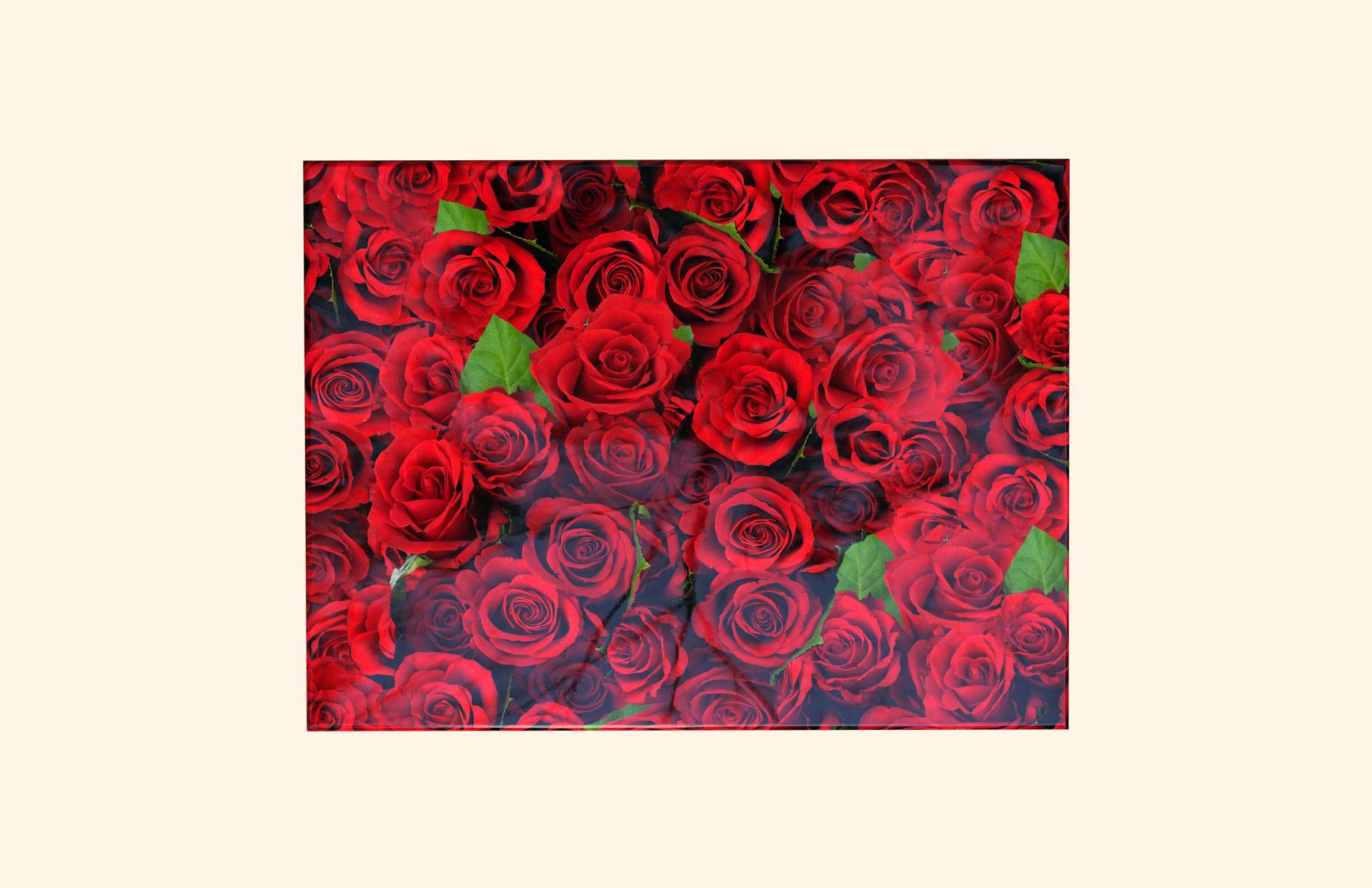 My Rosemary adult ashes casket top view