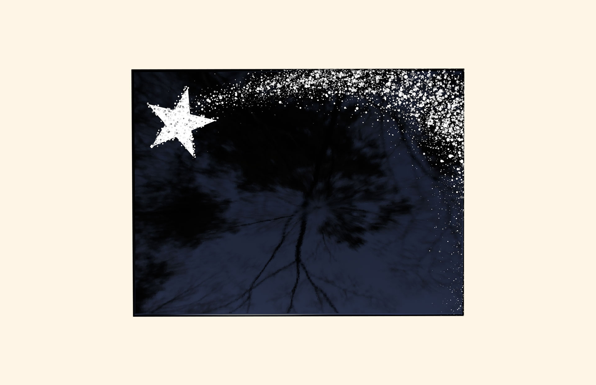 Shooting Star adult ashes casket top view