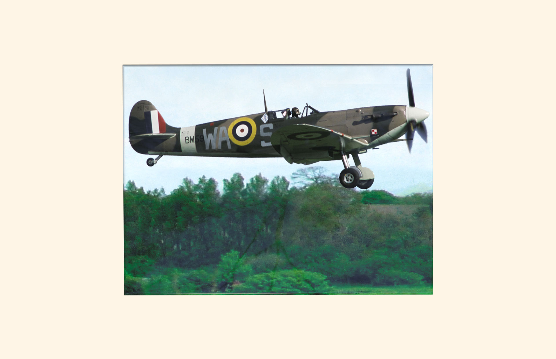 Spitfire adult ashes casket top view