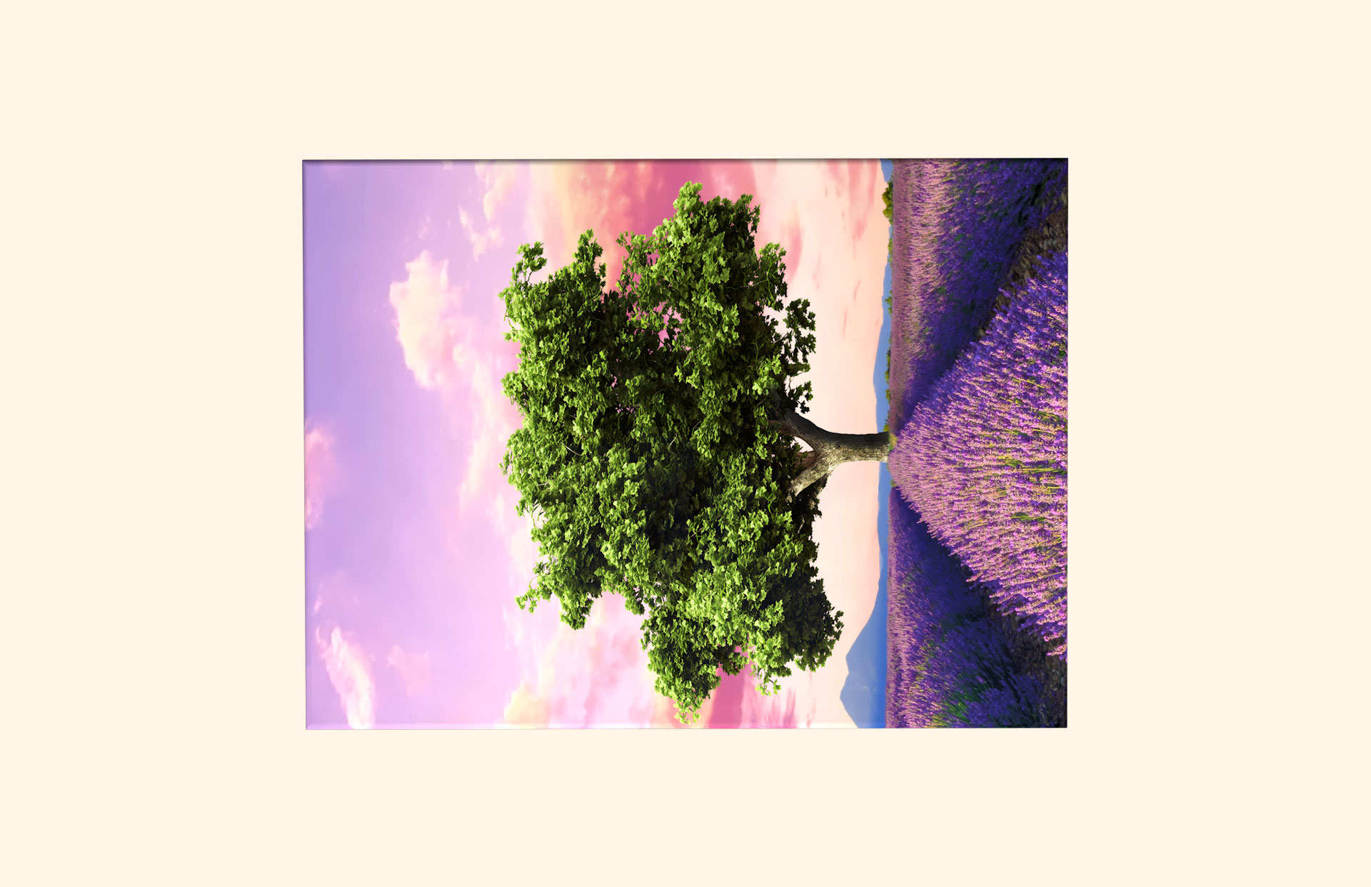 Lavender Field adult ashes casket top view