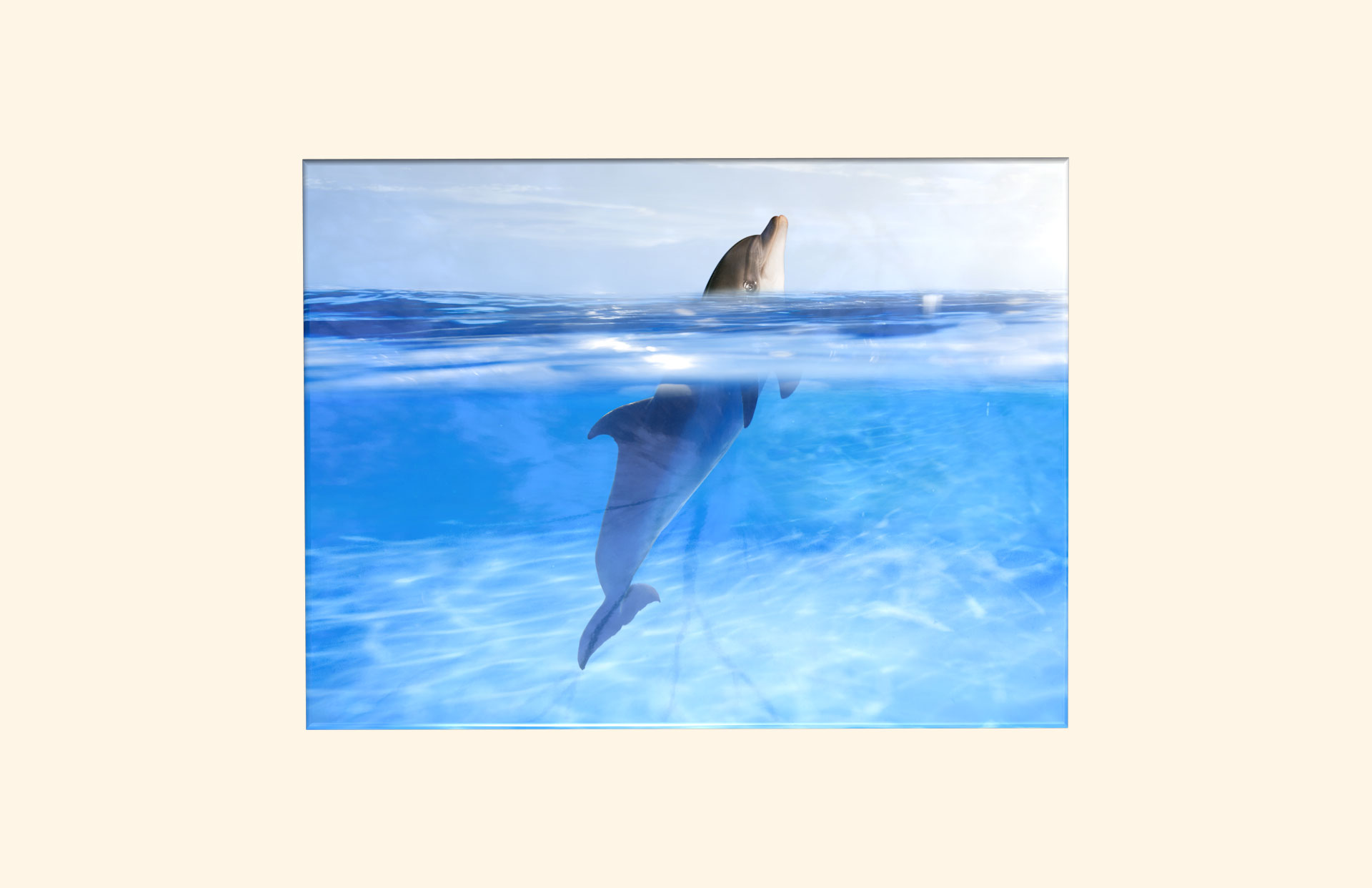 Swimming with Dolphins adult ashes casket top view