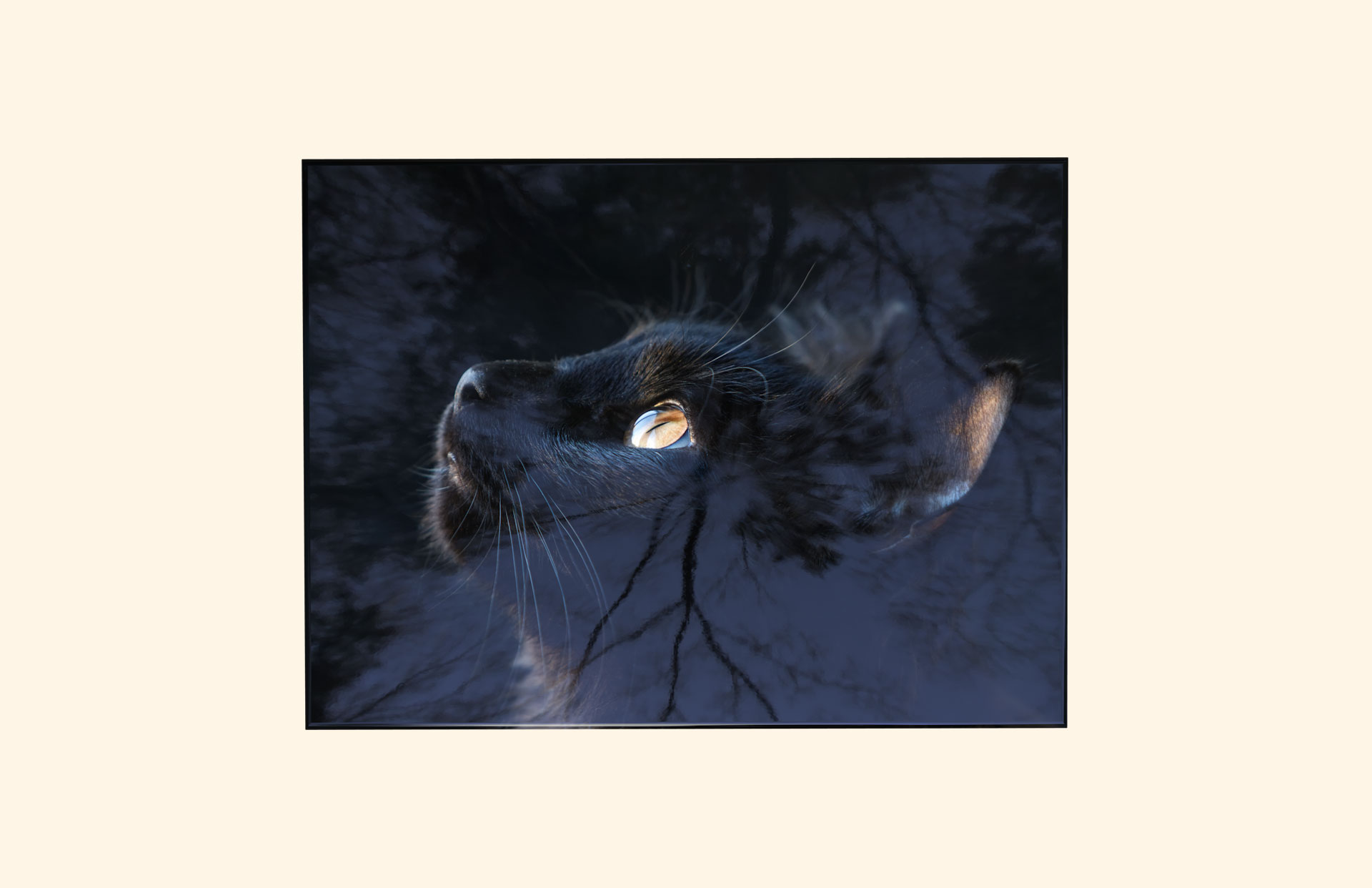 Tickles adult ashes casket top view